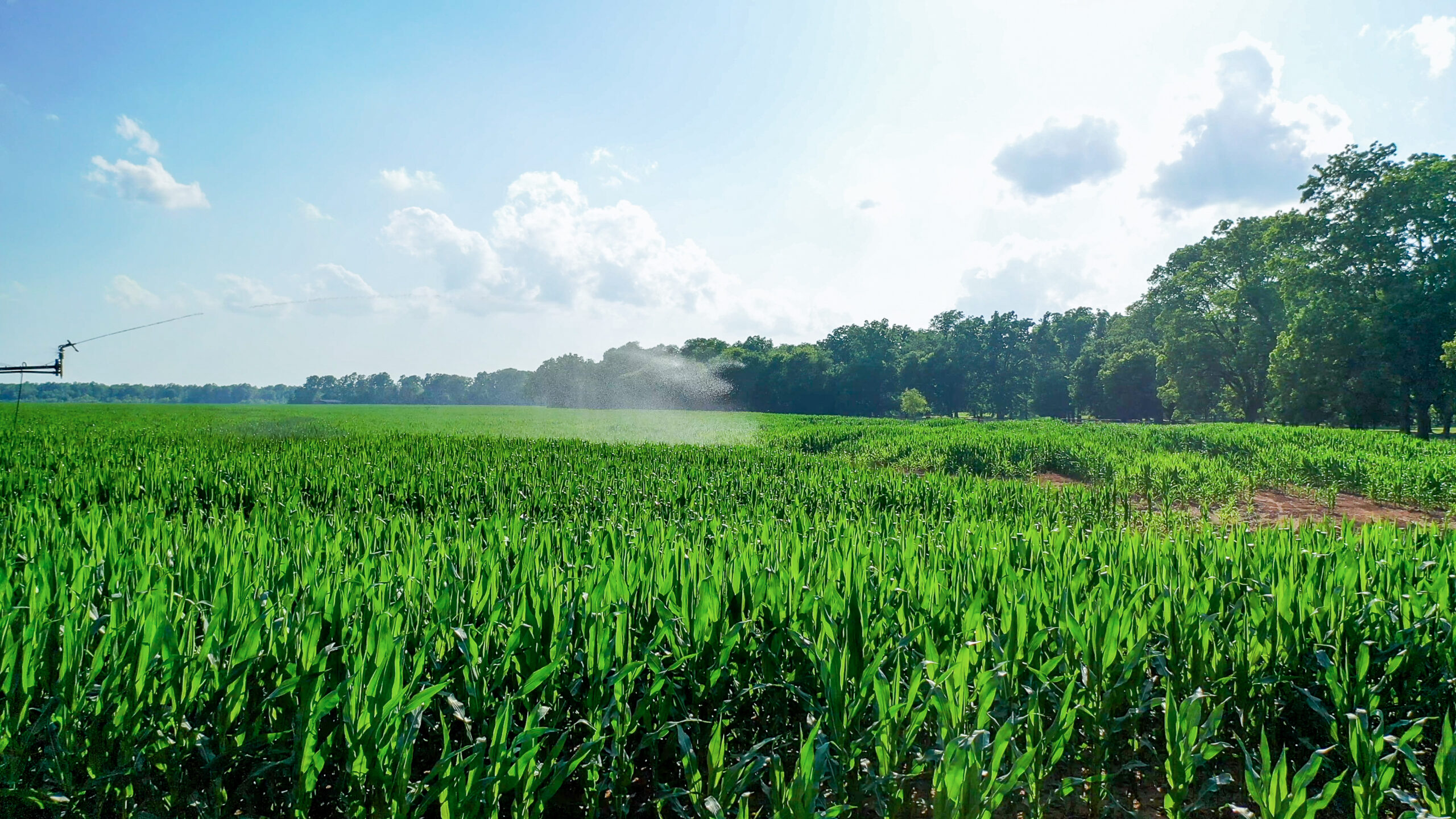 Irrigated Red River Farm & Hunting Ranch