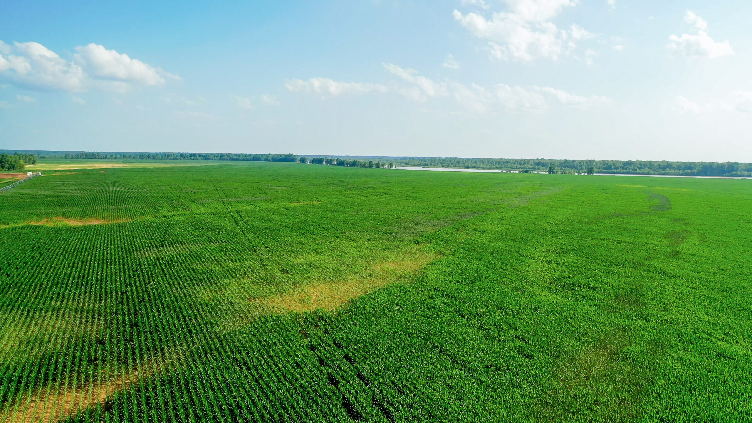 Irrigated Red River Farm & Hunting Ranch