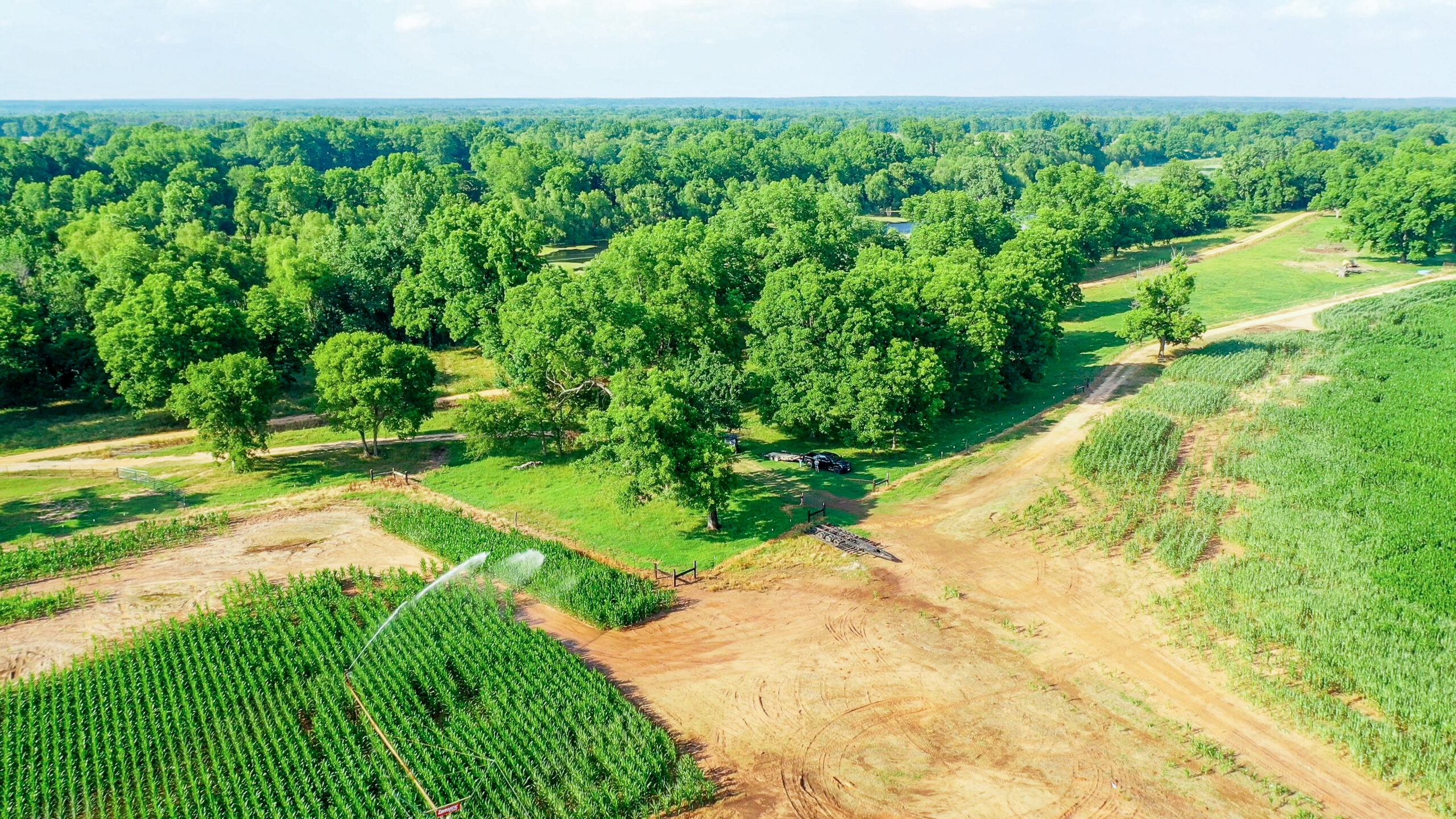 Irrigated Red River Farm & Hunting Ranch