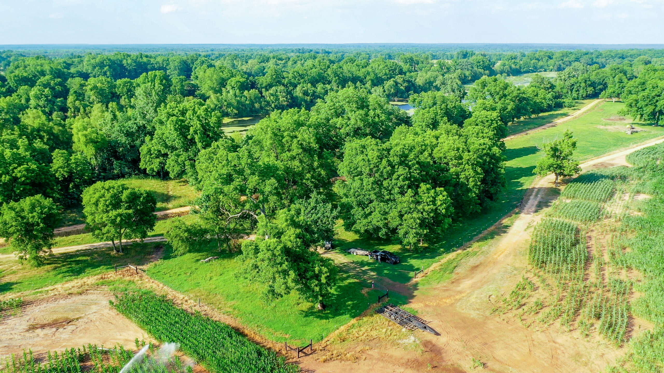 Irrigated Red River Farm & Hunting Ranch