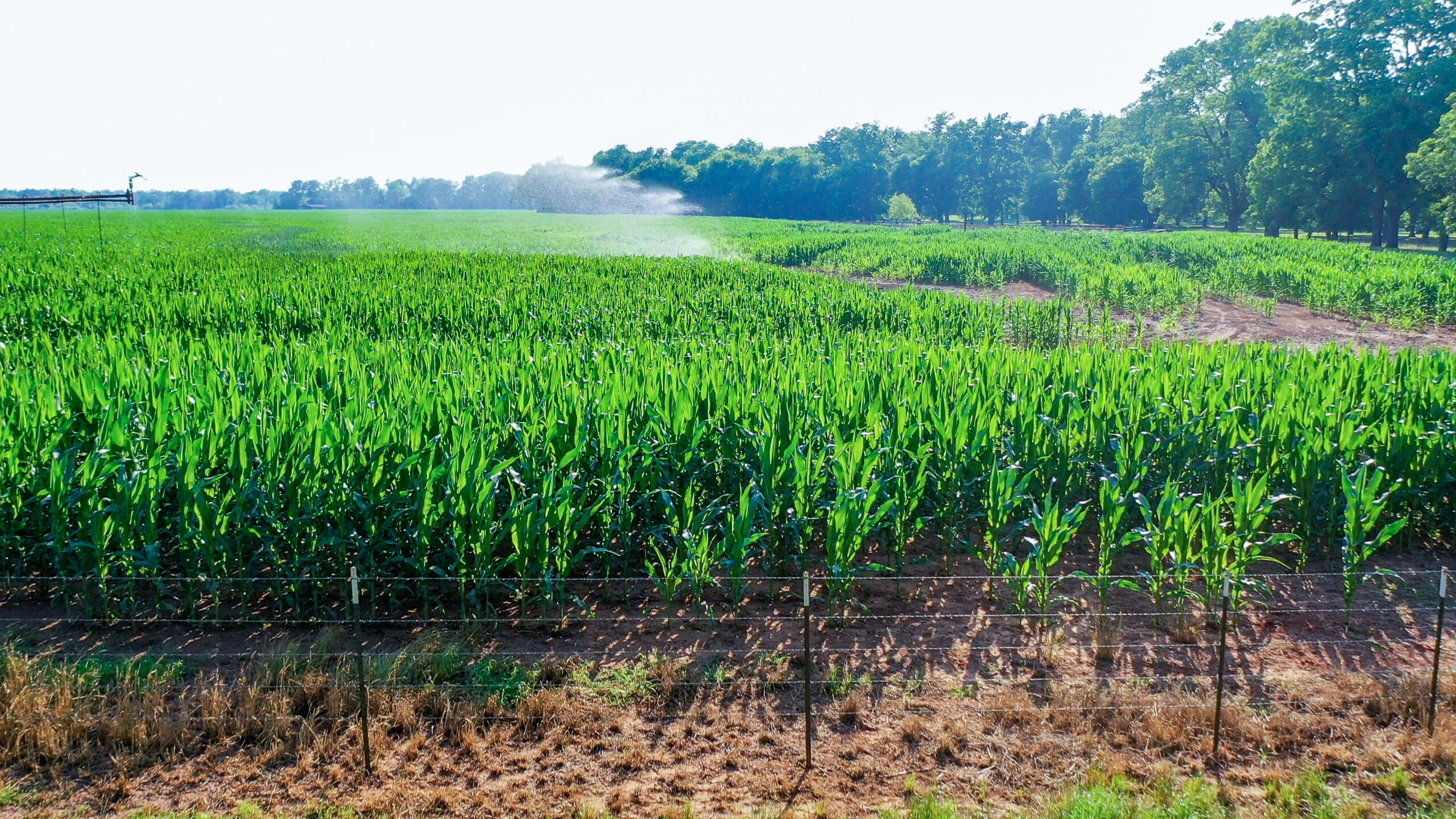 Irrigated Red River Farm & Hunting Ranch