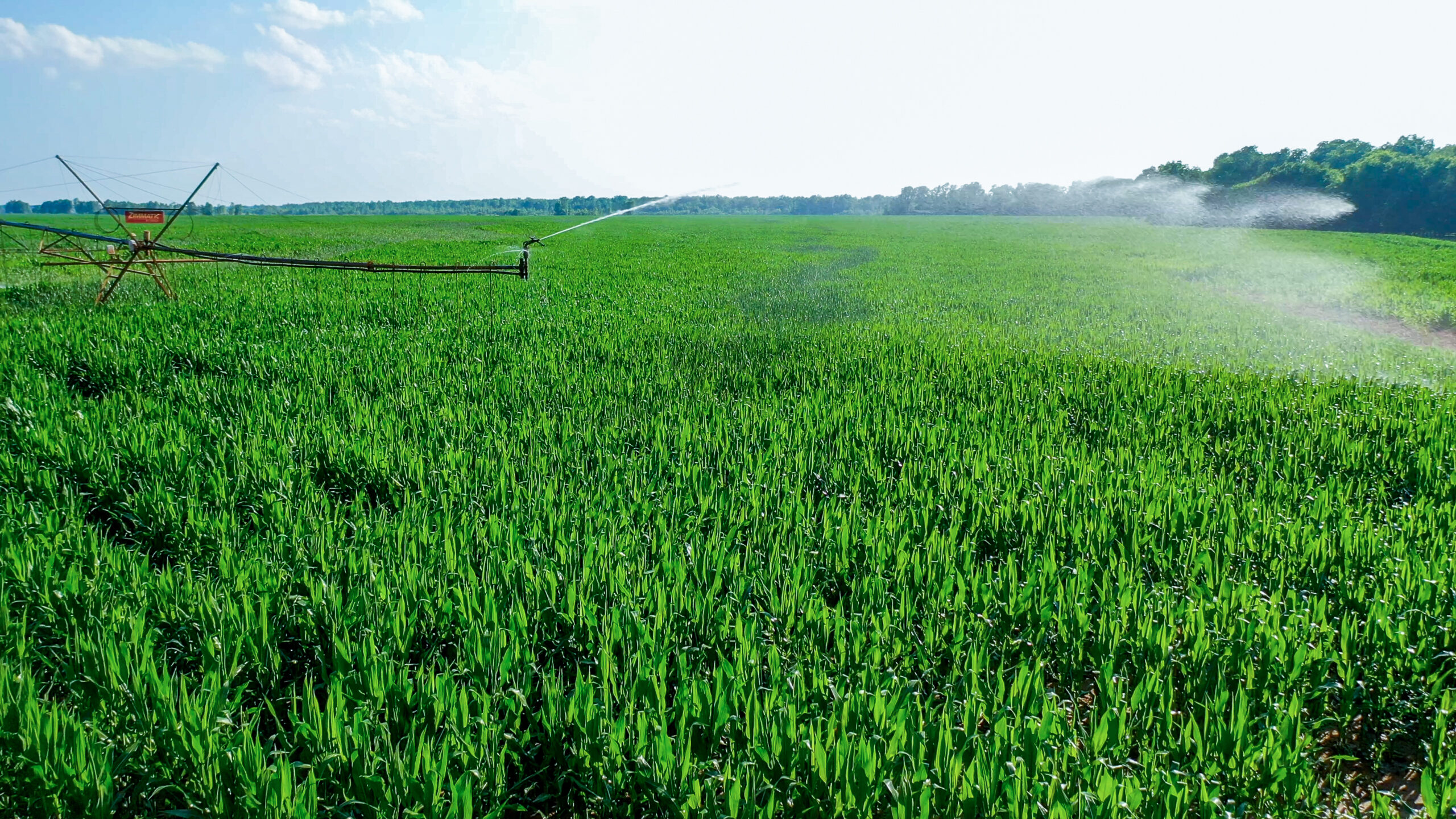 Irrigated Red River Farm & Hunting Ranch
