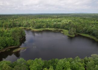 Land for Sale in Glidden, Wisconsin