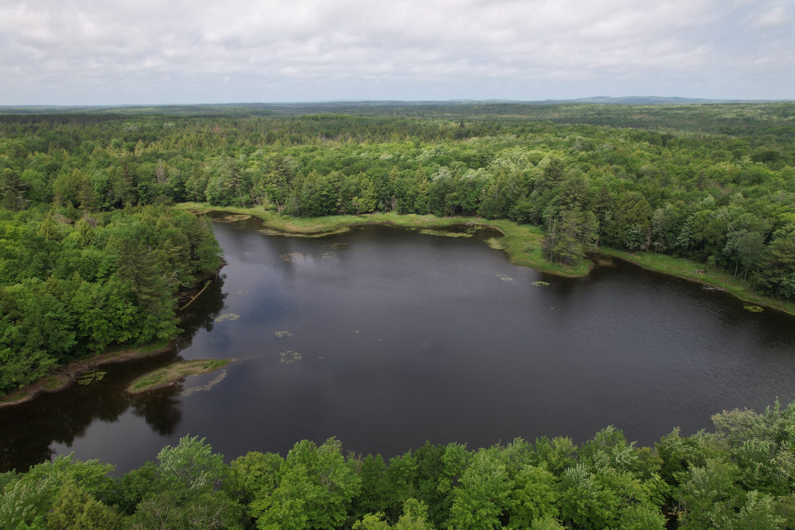 Land for Sale in Glidden, Wisconsin