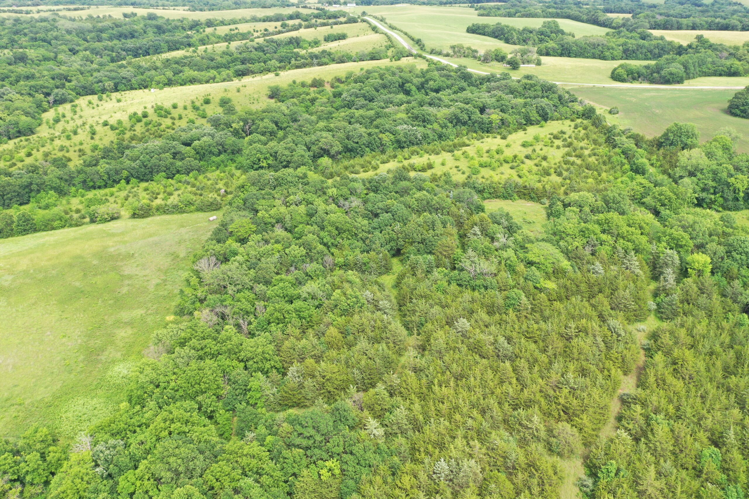 40-Acre Hunting & Fishing Retreat – Northern Mercer County, MO