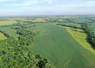 Top-Quality Harrison County Farm – 517 Acres m/l