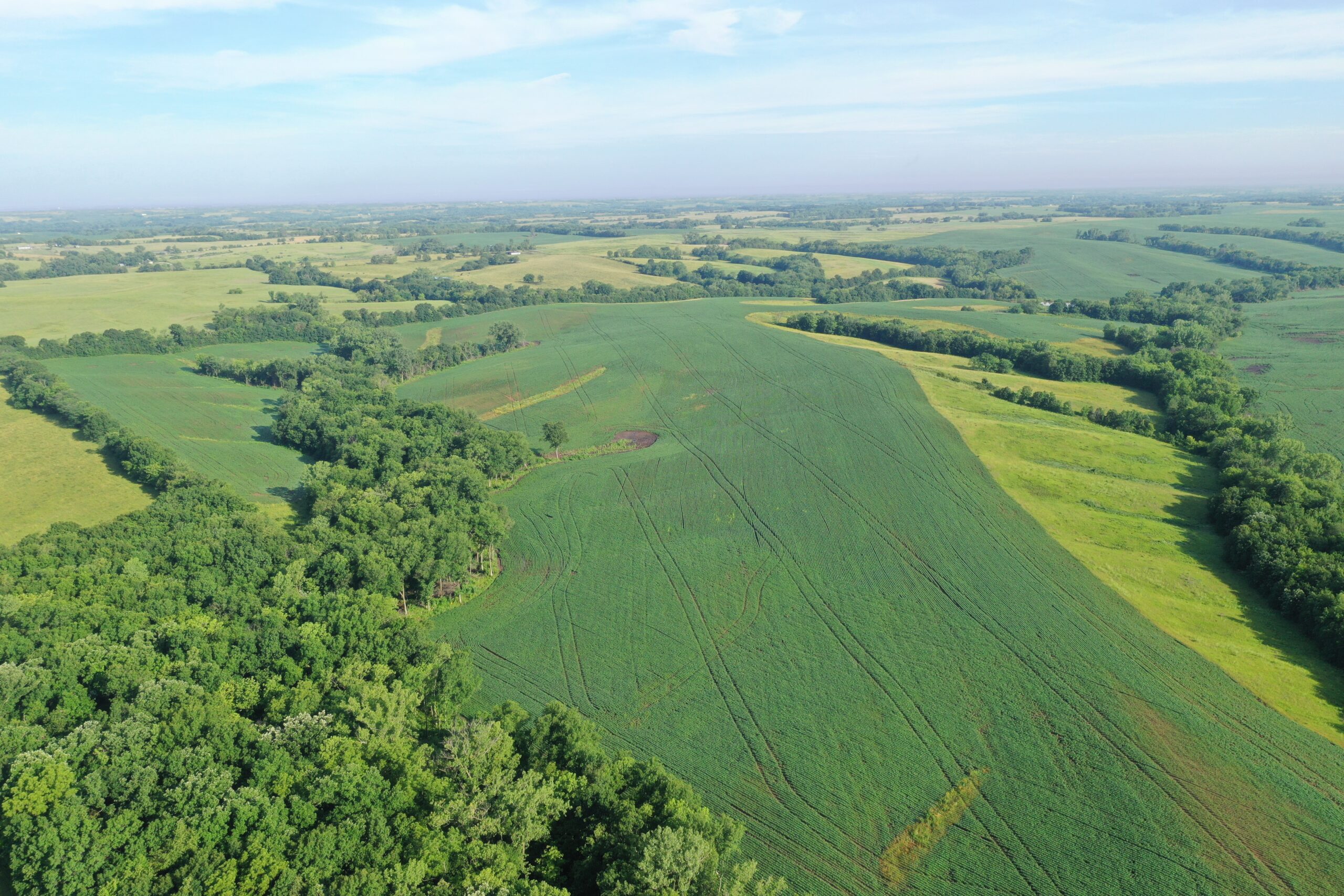 Top-Quality Harrison County Farm – 517 Acres m/l