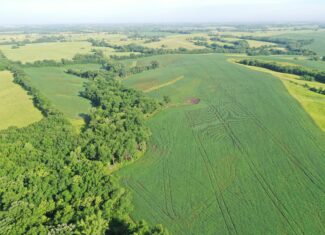 Top-Quality Harrison County Farm – 517 Acres m/l