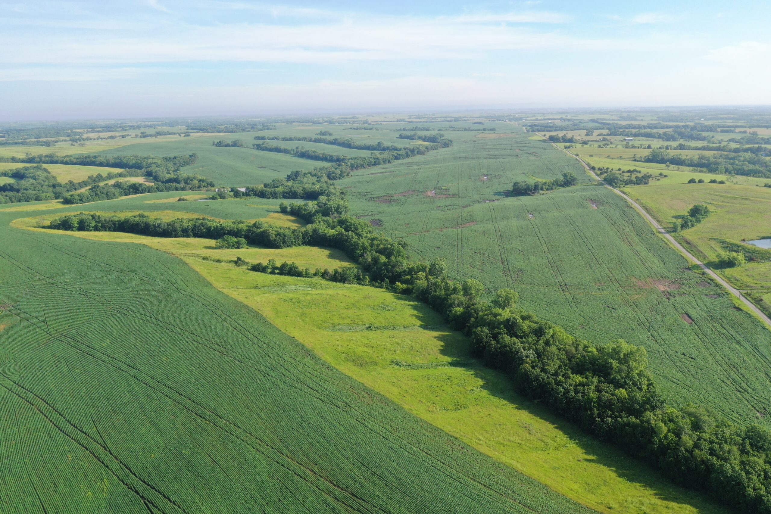 Top-Quality Harrison County Farm – 517 Acres m/l