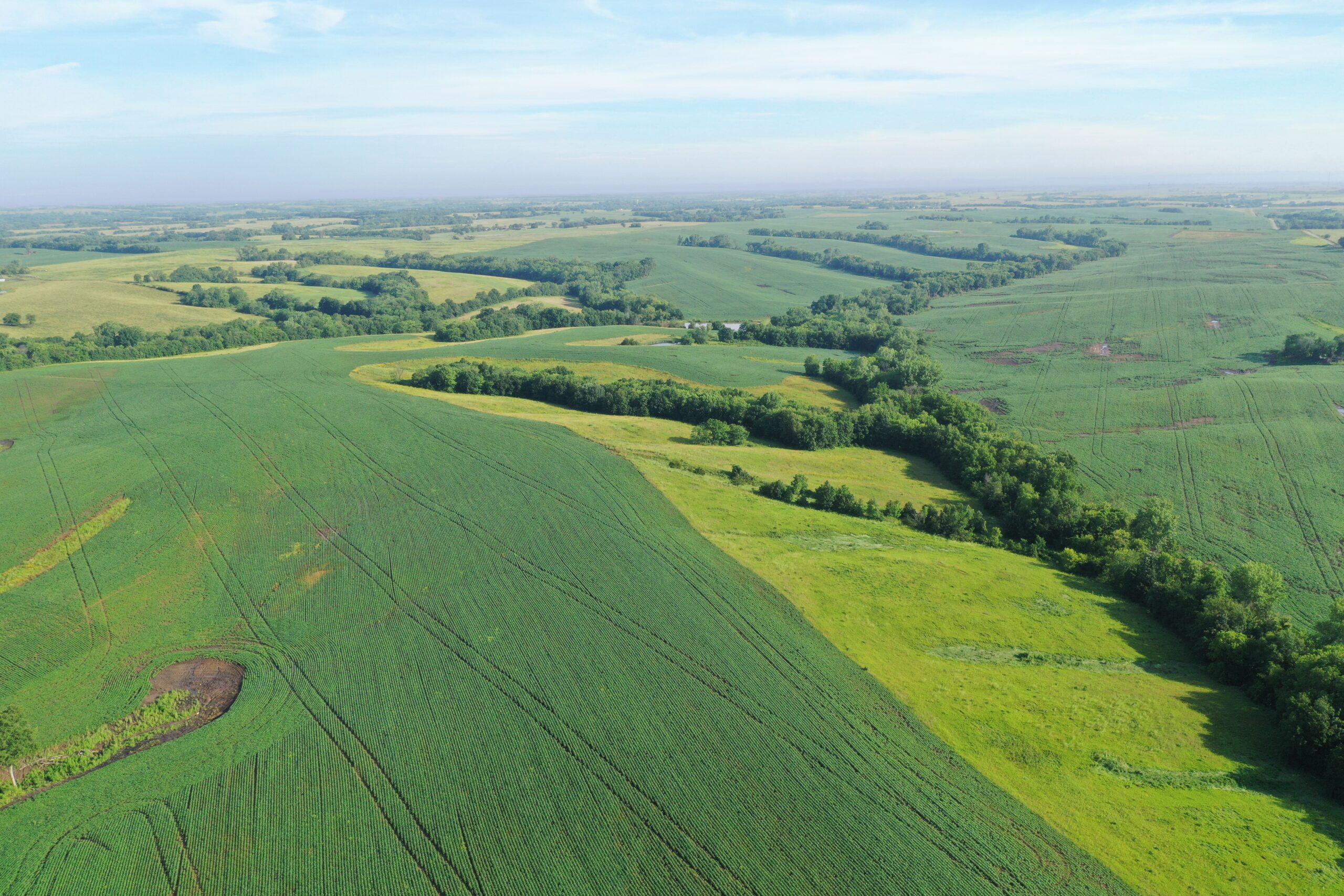 Top-Quality Harrison County Farm – 517 Acres m/l