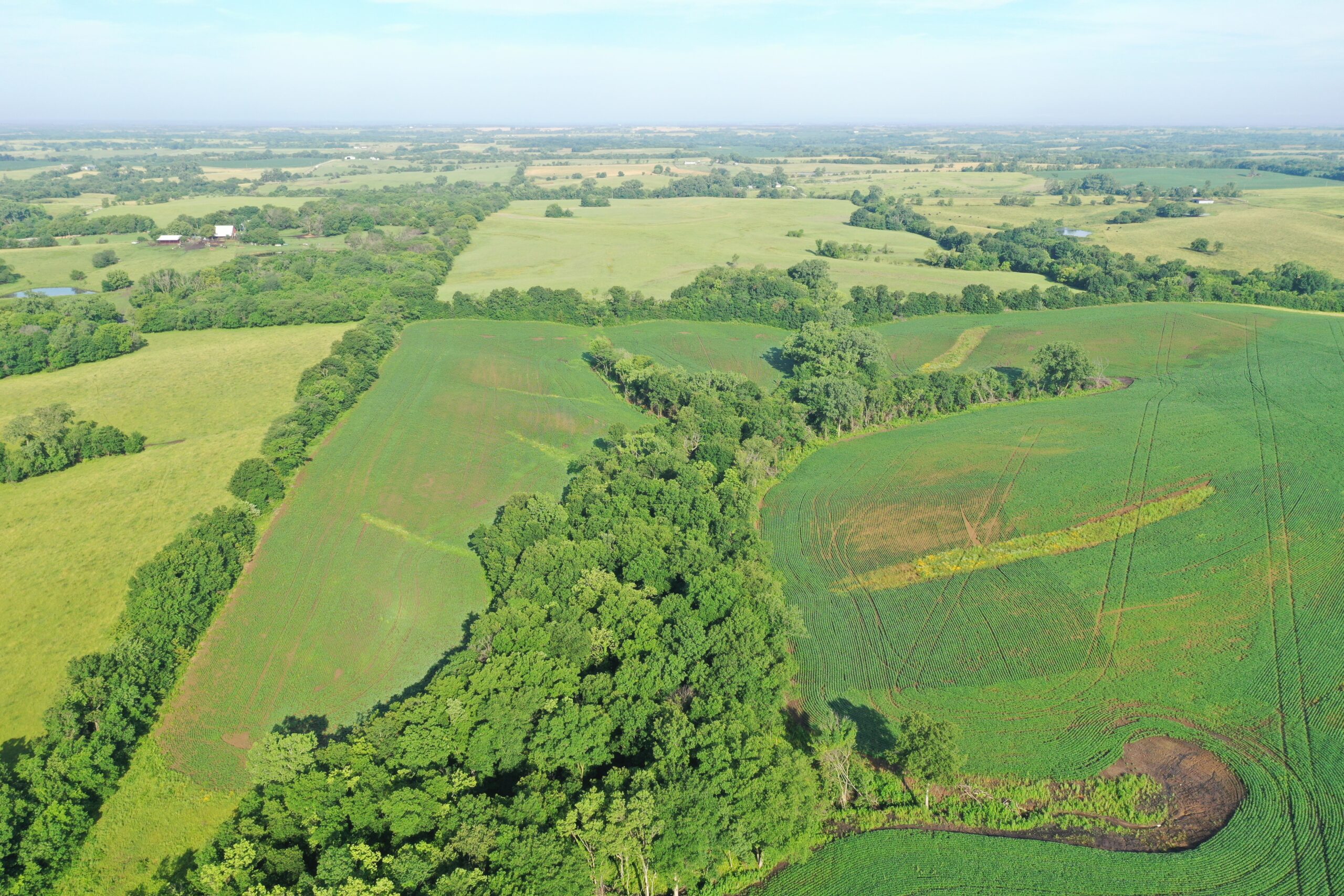 Top-Quality Harrison County Farm – 517 Acres m/l
