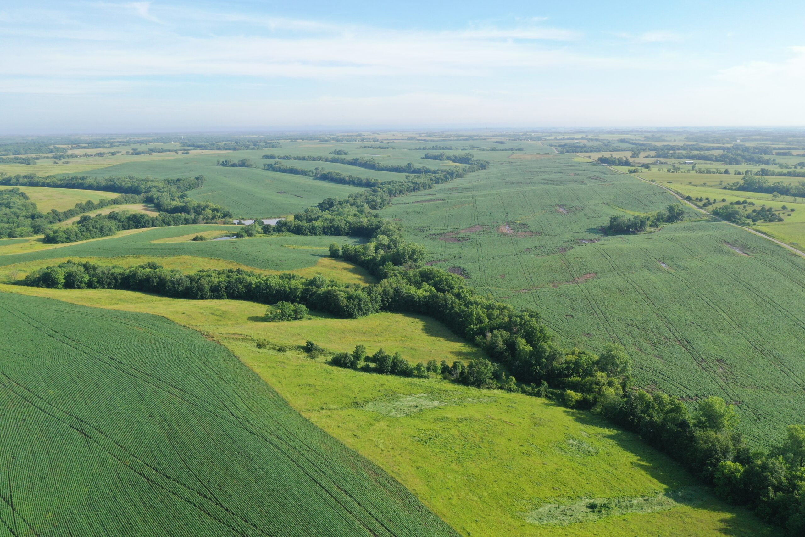 Top-Quality Harrison County Farm – 517 Acres m/l
