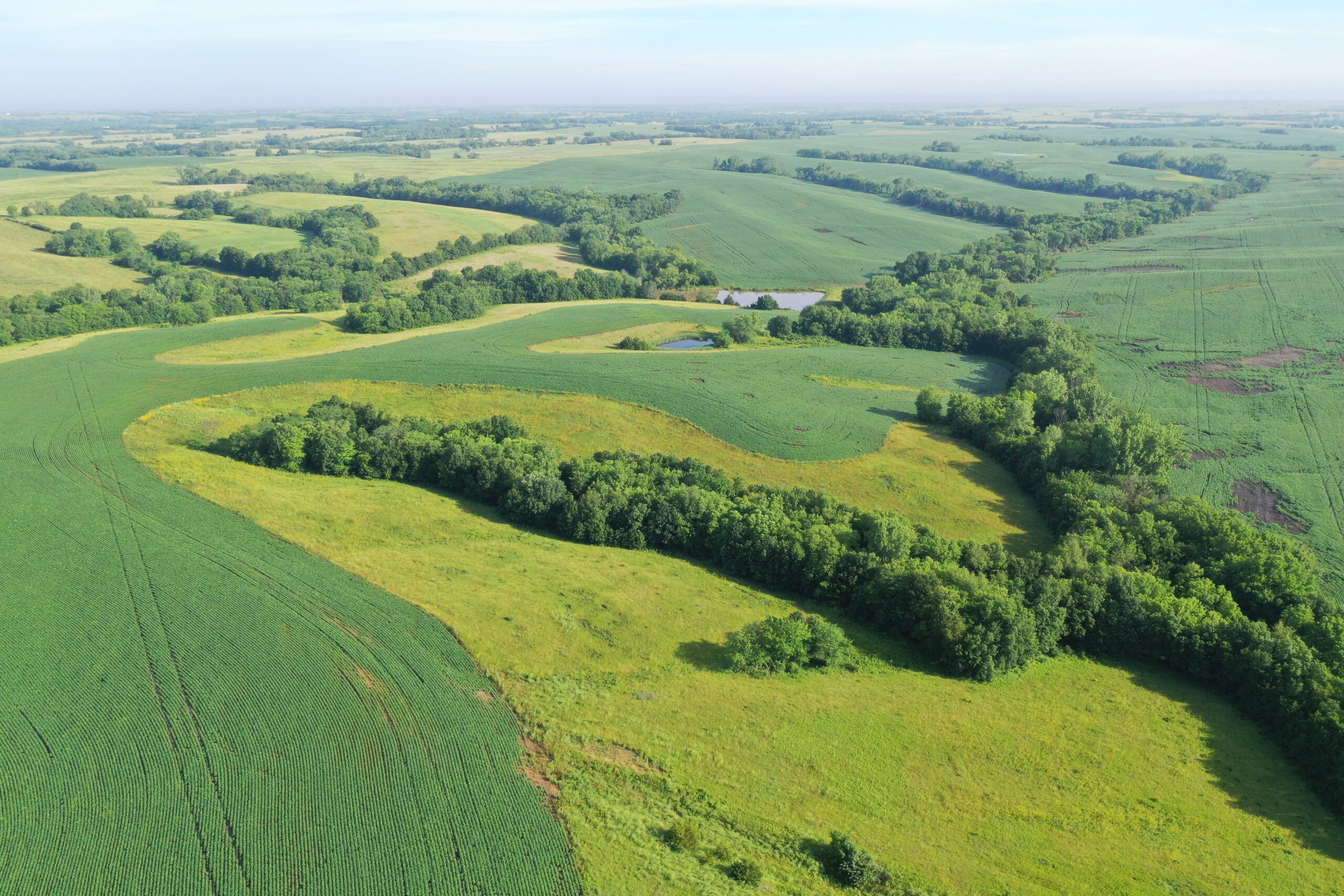 Top-Quality Harrison County Farm – 517 Acres m/l