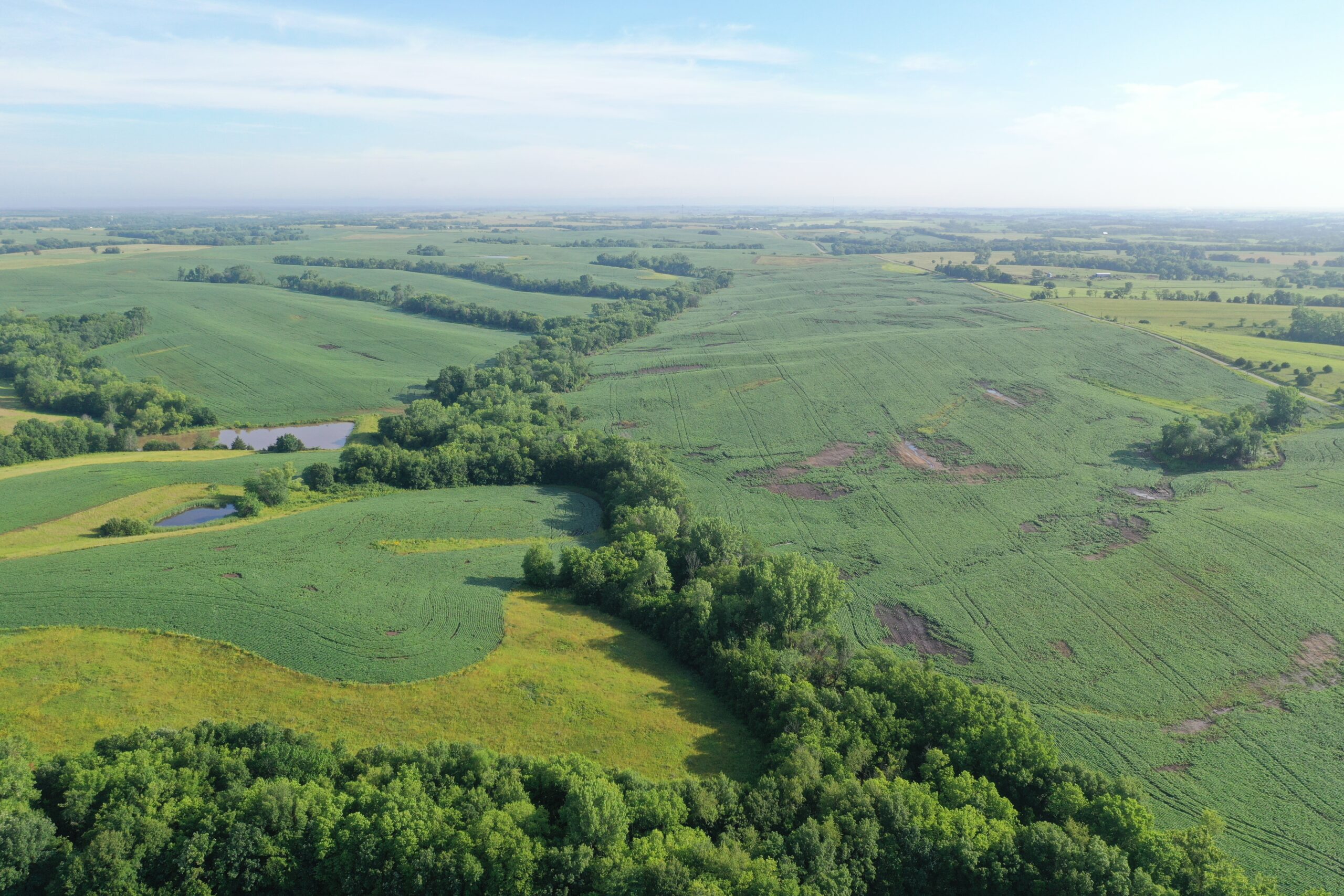Top-Quality Harrison County Farm – 517 Acres m/l