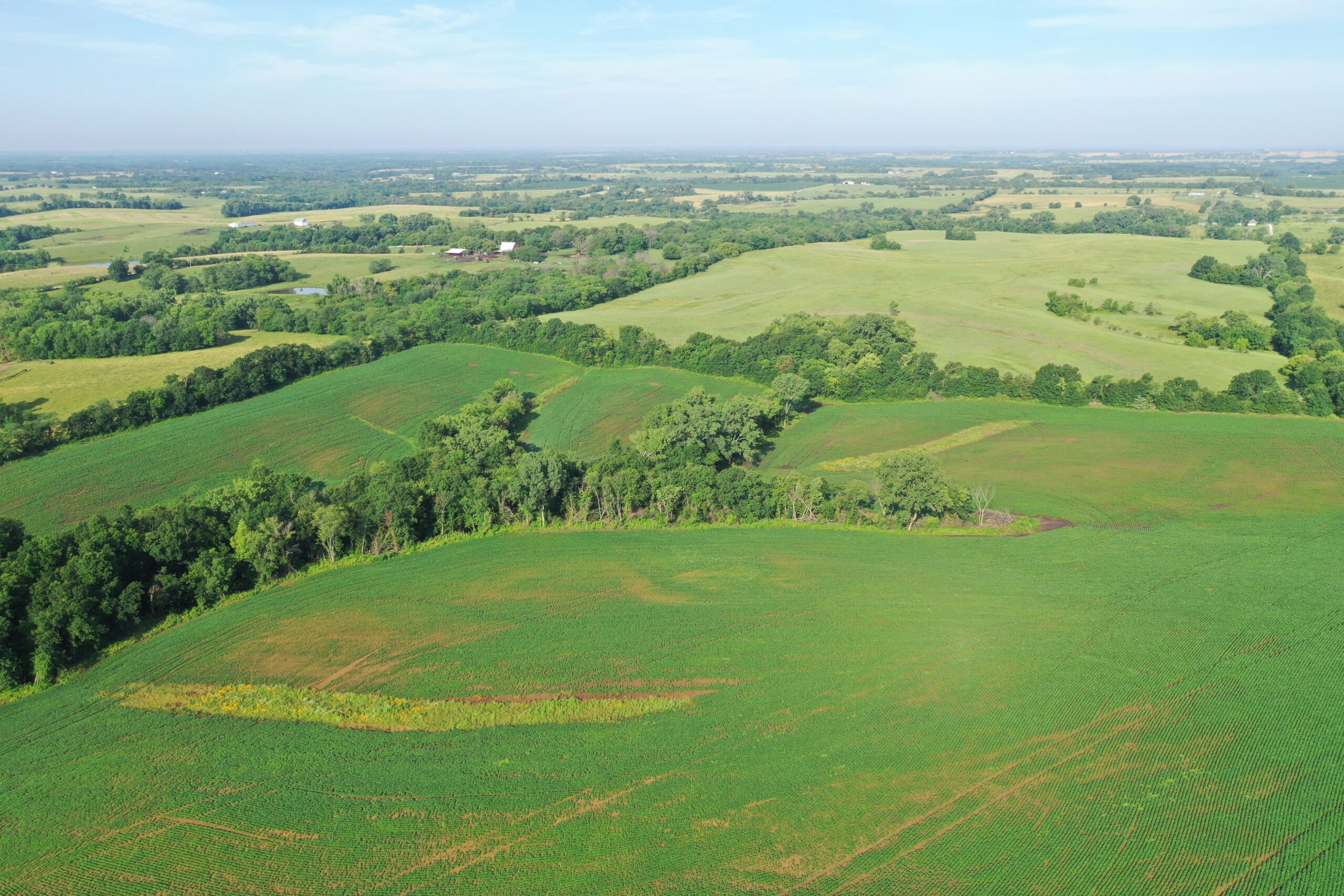 Top-Quality Harrison County Farm – 517 Acres m/l