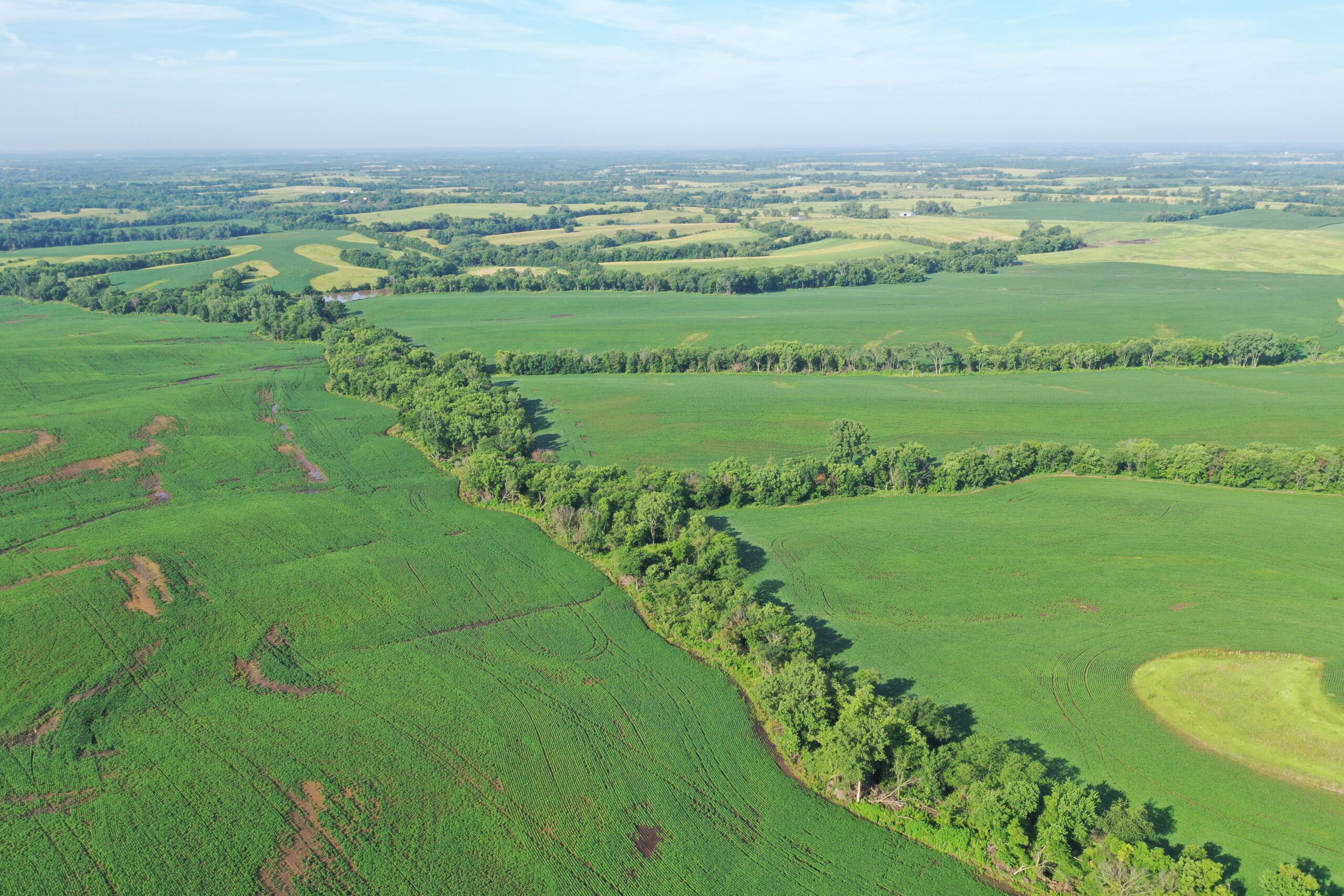 Top-Quality Harrison County Farm – 517 Acres m/l