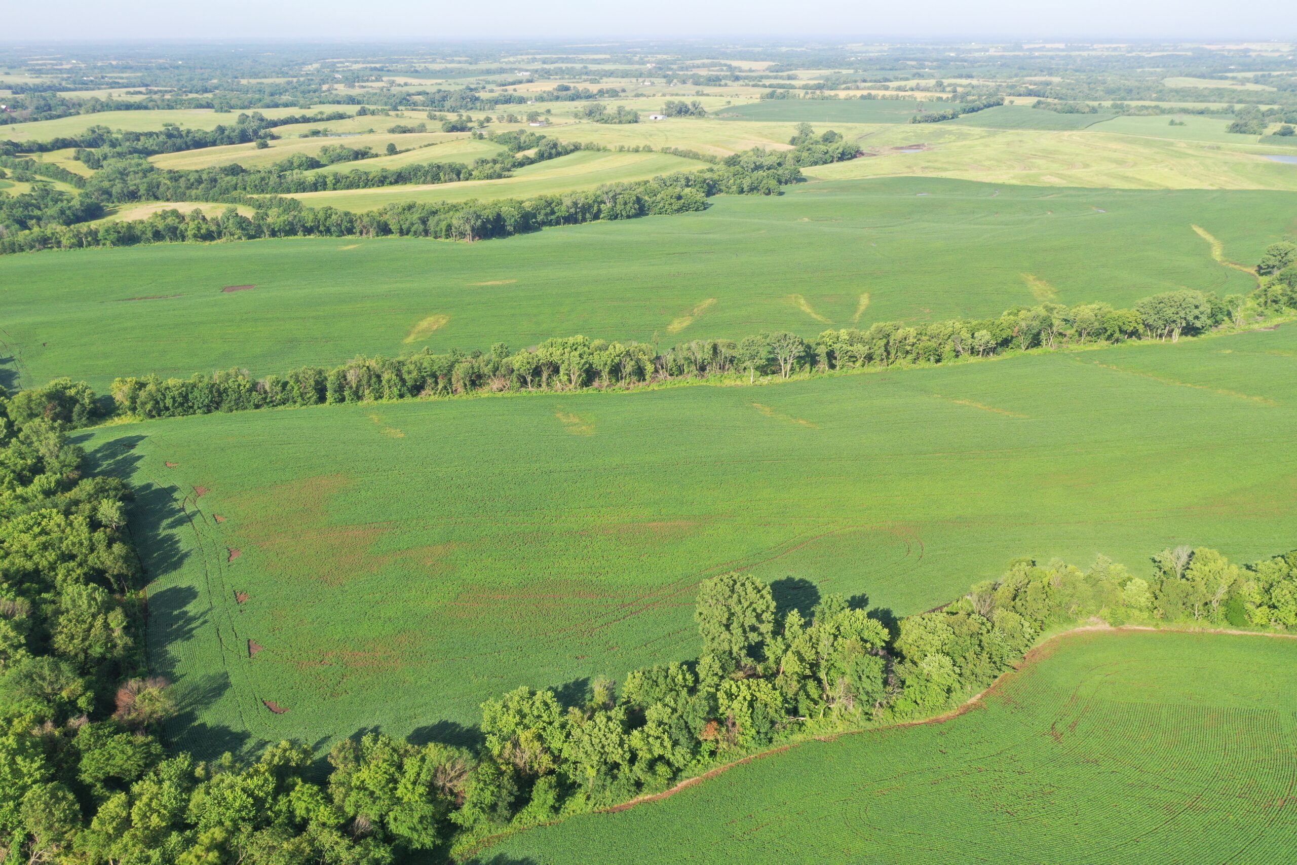 Top-Quality Harrison County Farm – 517 Acres m/l