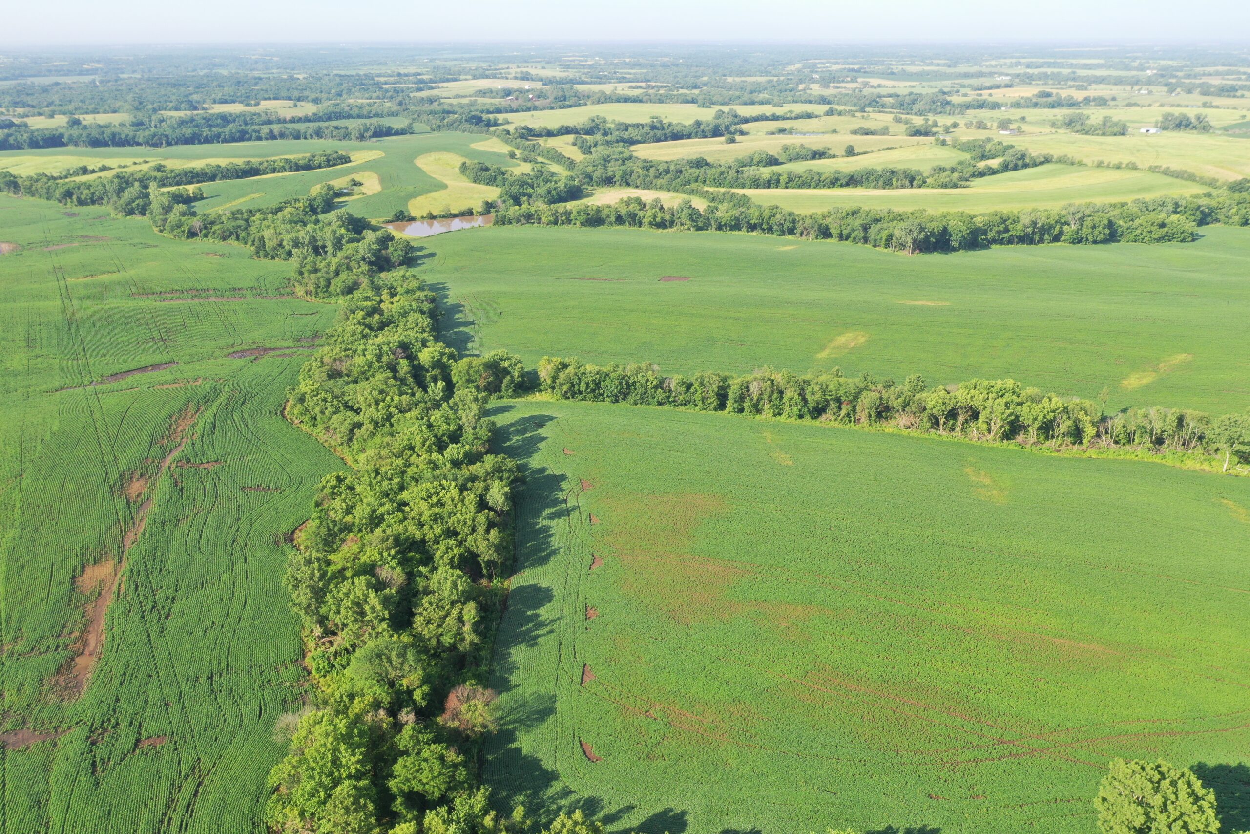 Top-Quality Harrison County Farm – 517 Acres m/l