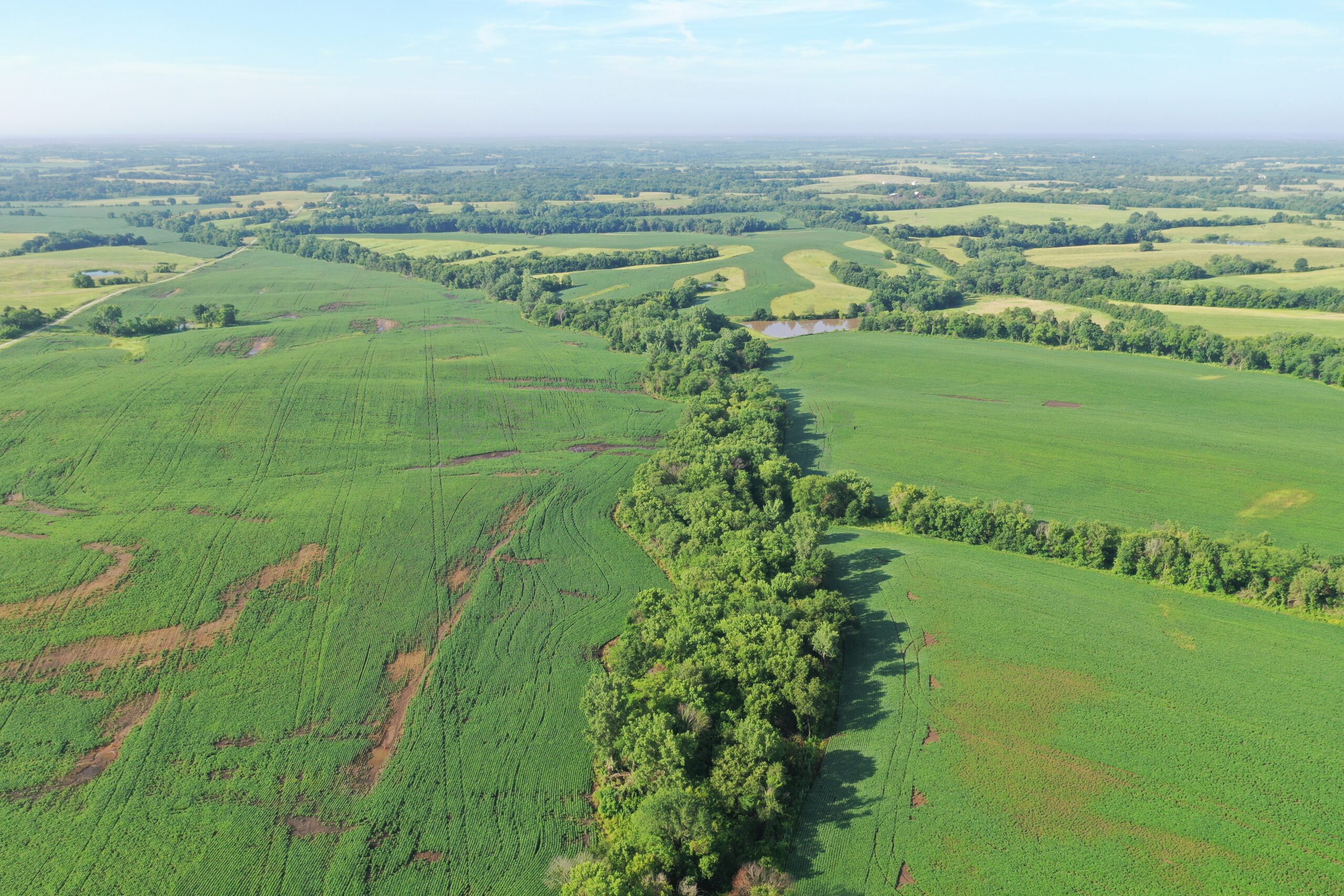 Top-Quality Harrison County Farm – 517 Acres m/l