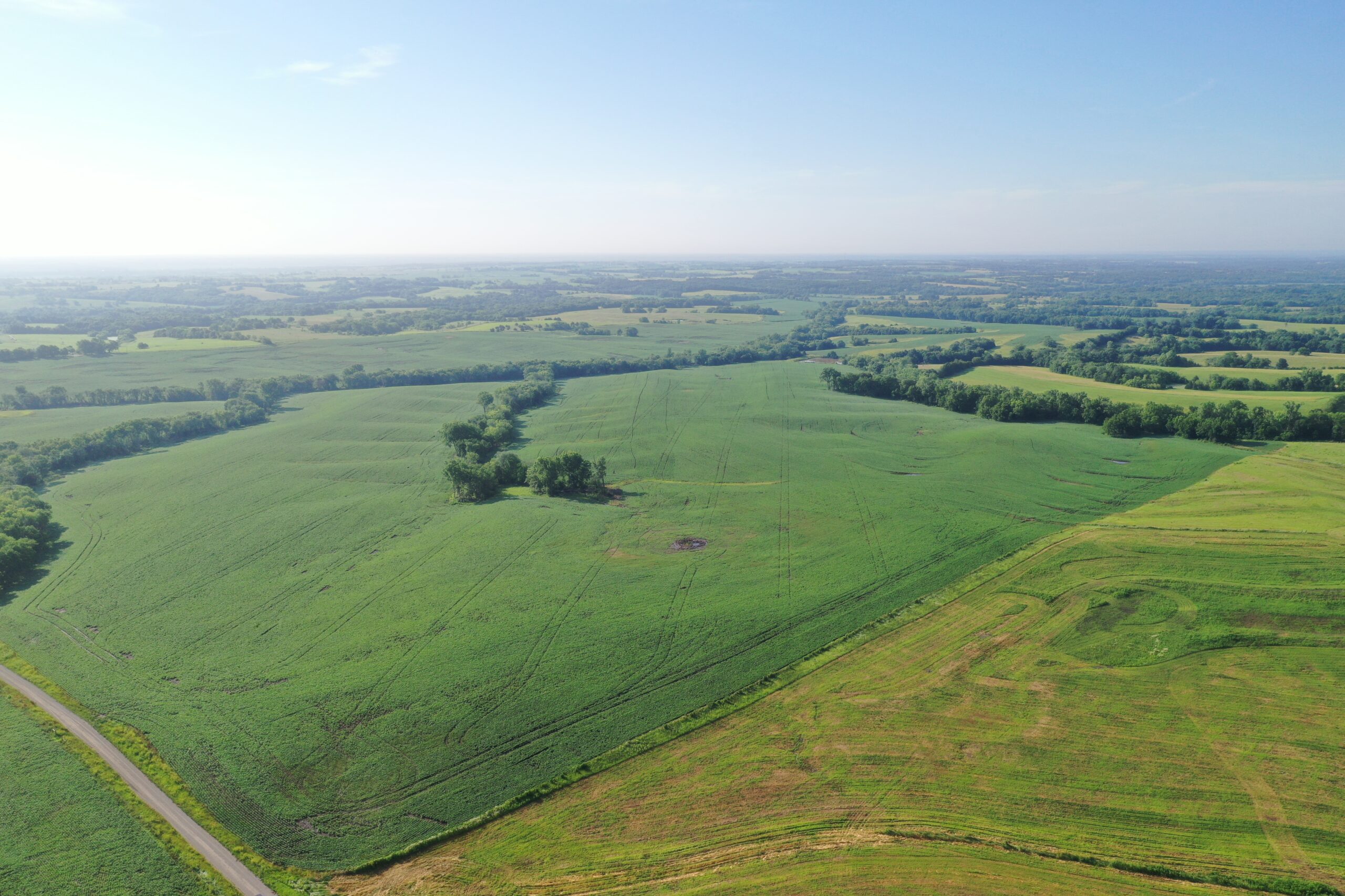 Top-Quality Harrison County Farm – 517 Acres m/l