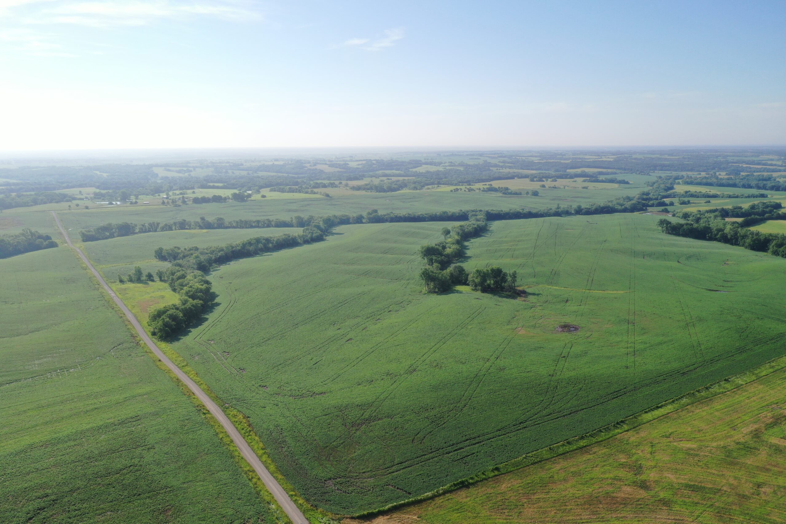 Top-Quality Harrison County Farm – 517 Acres m/l