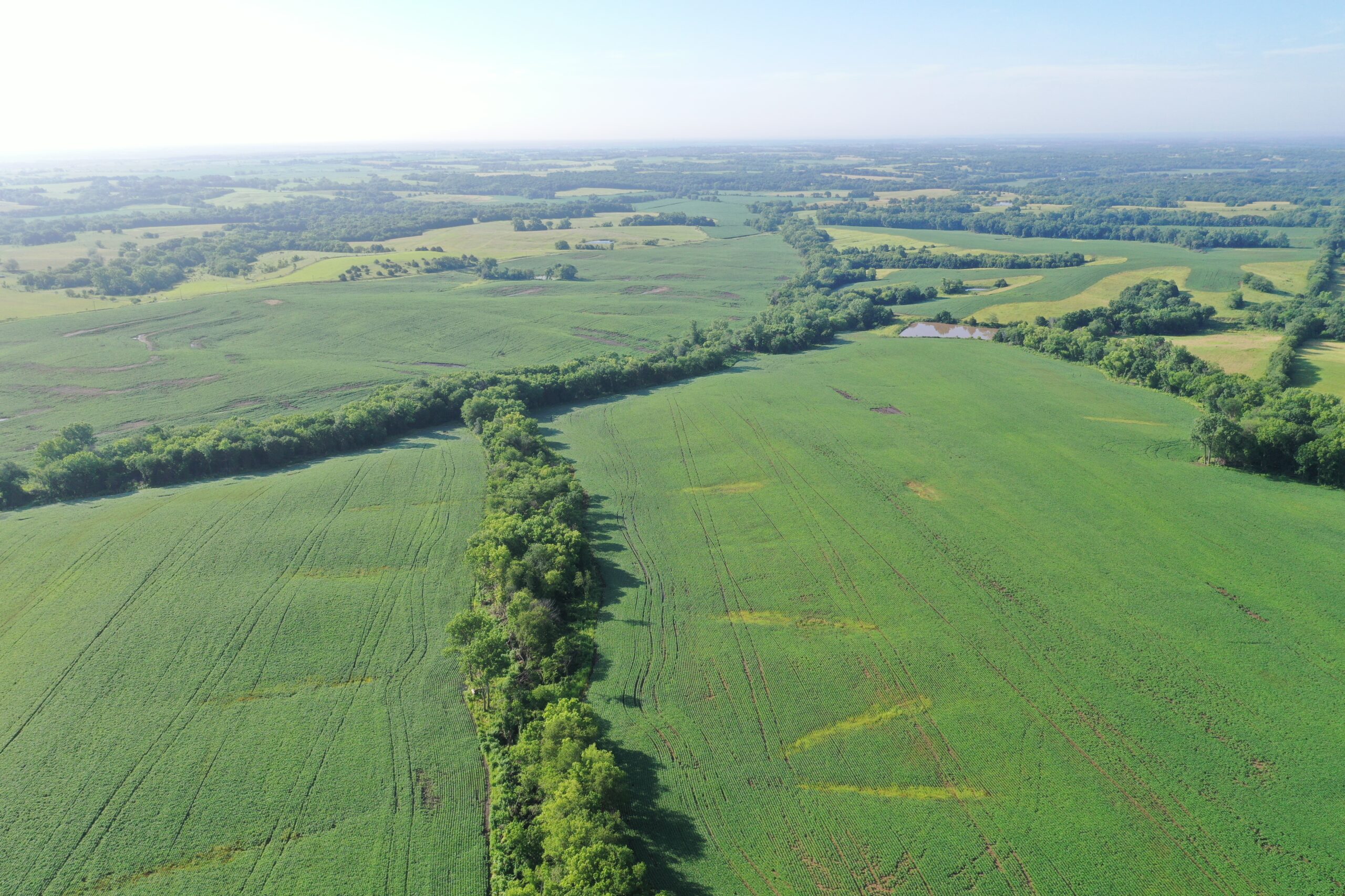 Top-Quality Harrison County Farm – 517 Acres m/l