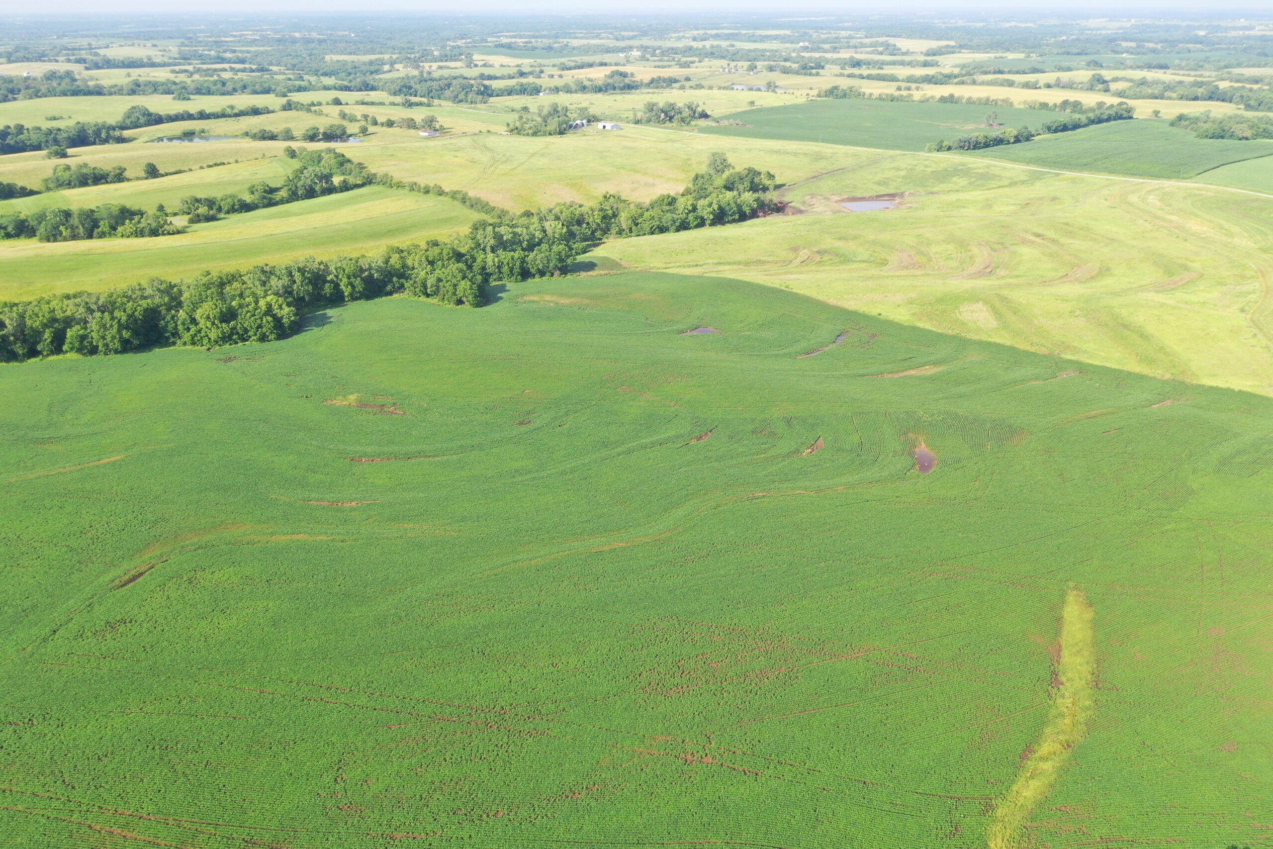 Top-Quality Harrison County Farm – 517 Acres m/l