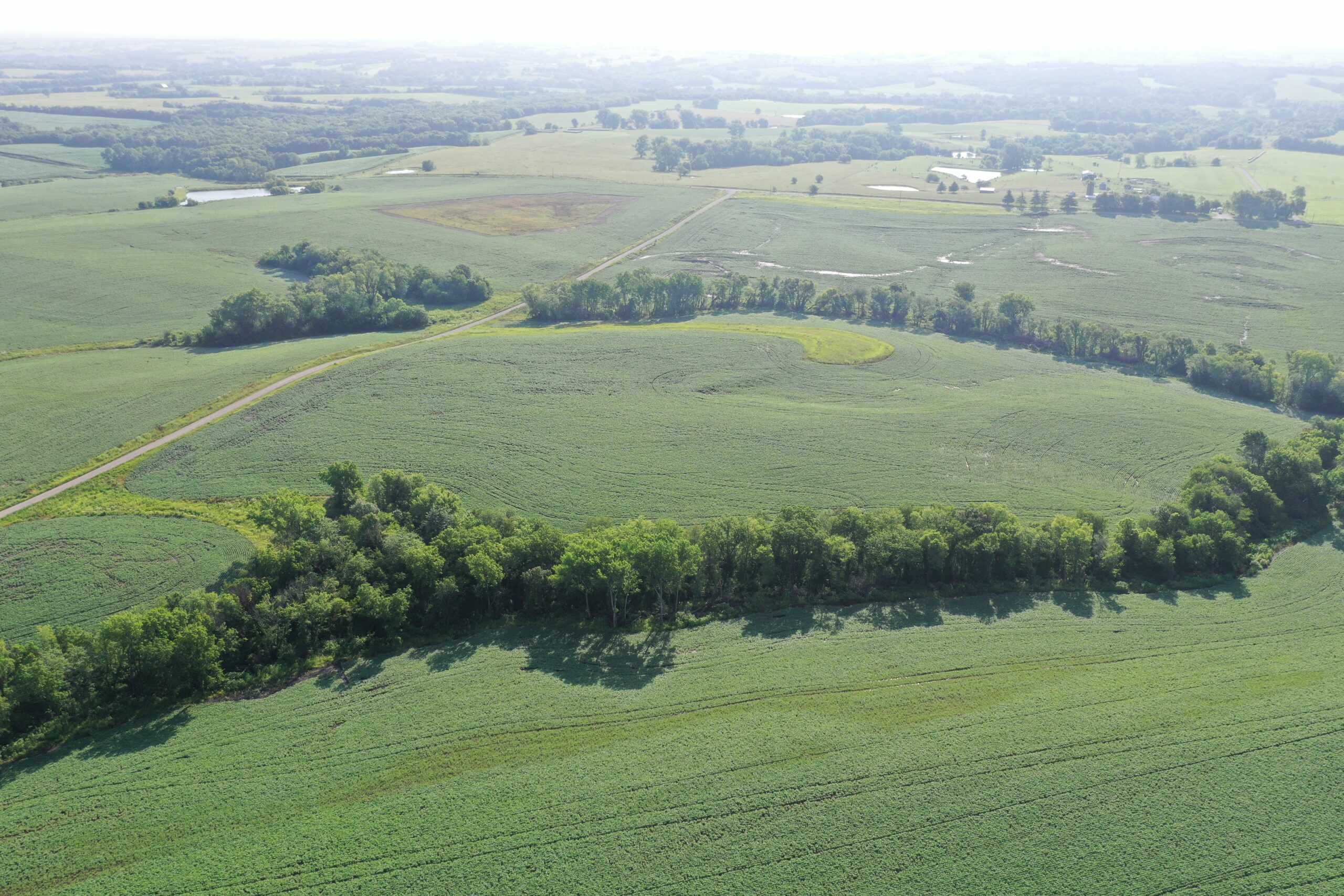 Top-Quality Harrison County Farm – 517 Acres m/l