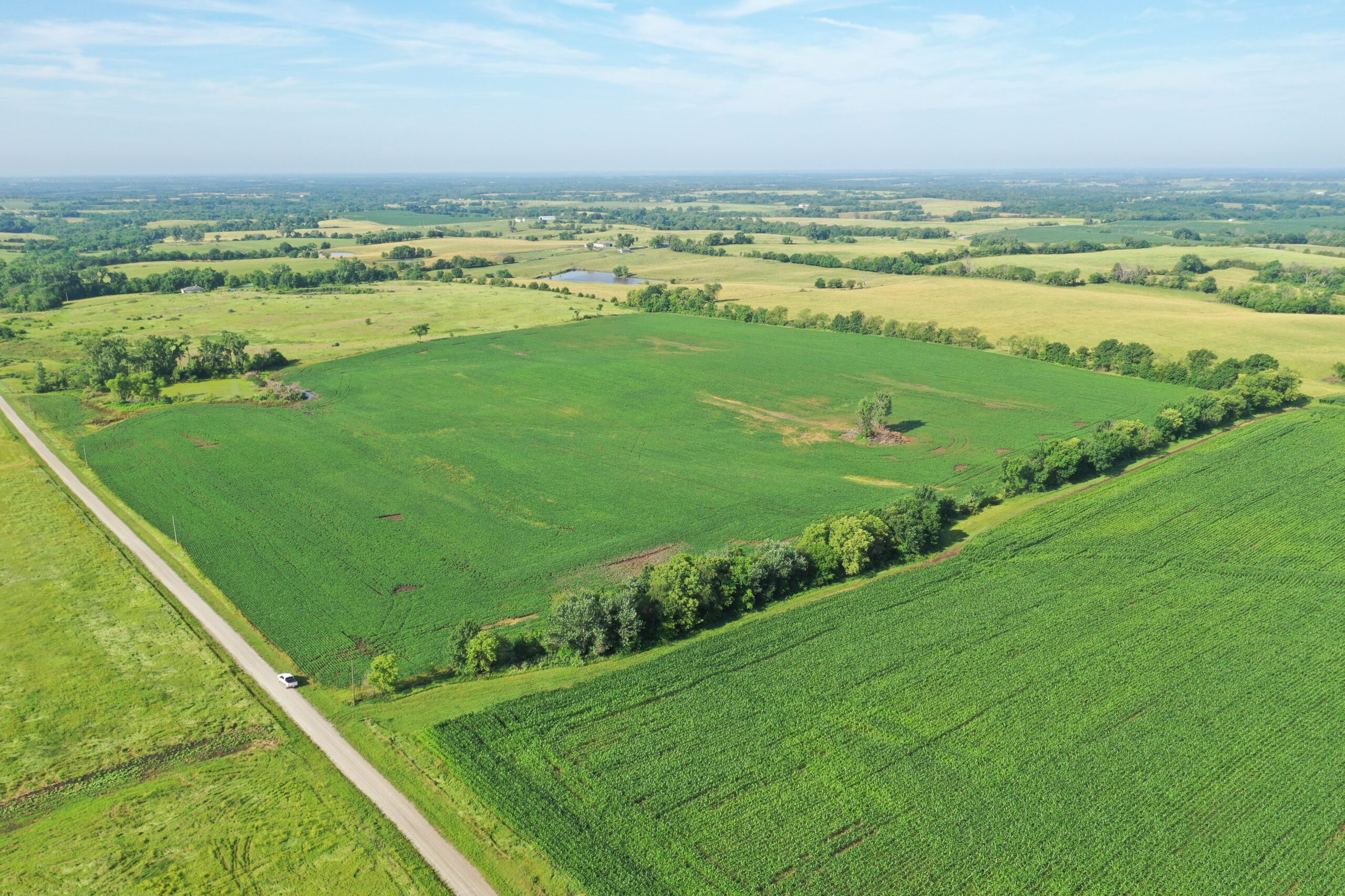 Top-Quality Harrison County Farm – 517 Acres m/l