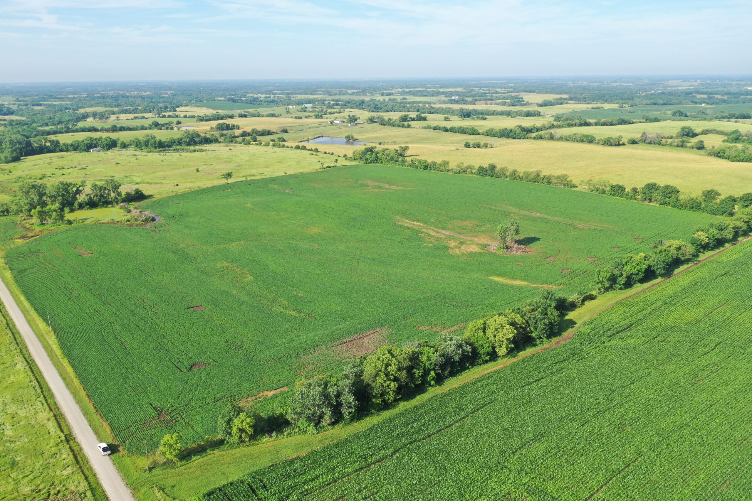 Top-Quality Harrison County Farm – 517 Acres m/l