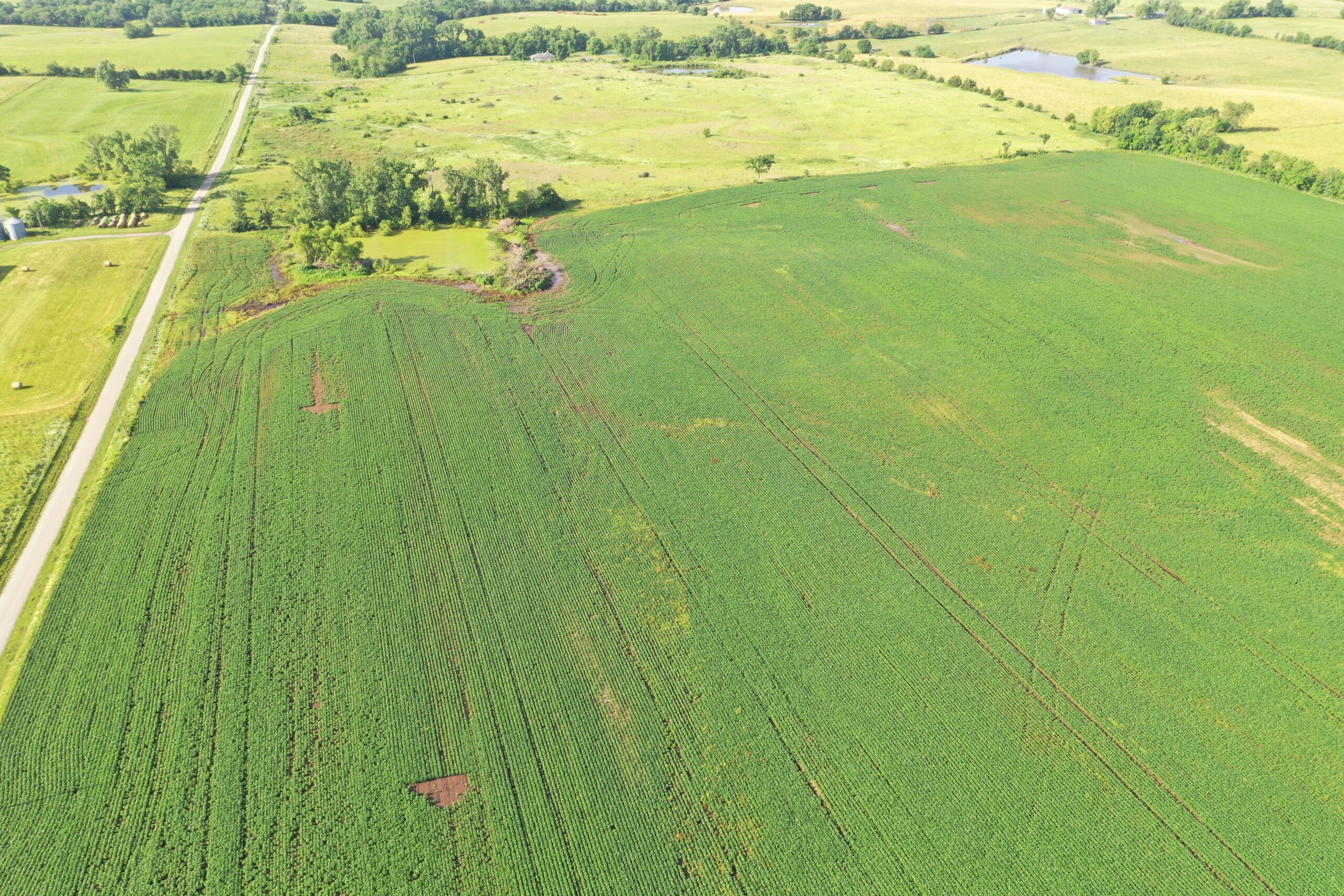 Top-Quality Harrison County Farm – 517 Acres m/l