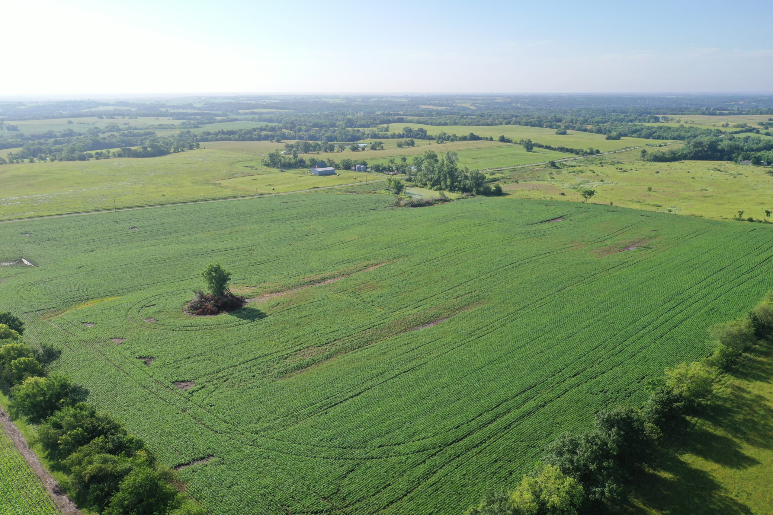 Top-Quality Harrison County Farm – 517 Acres m/l