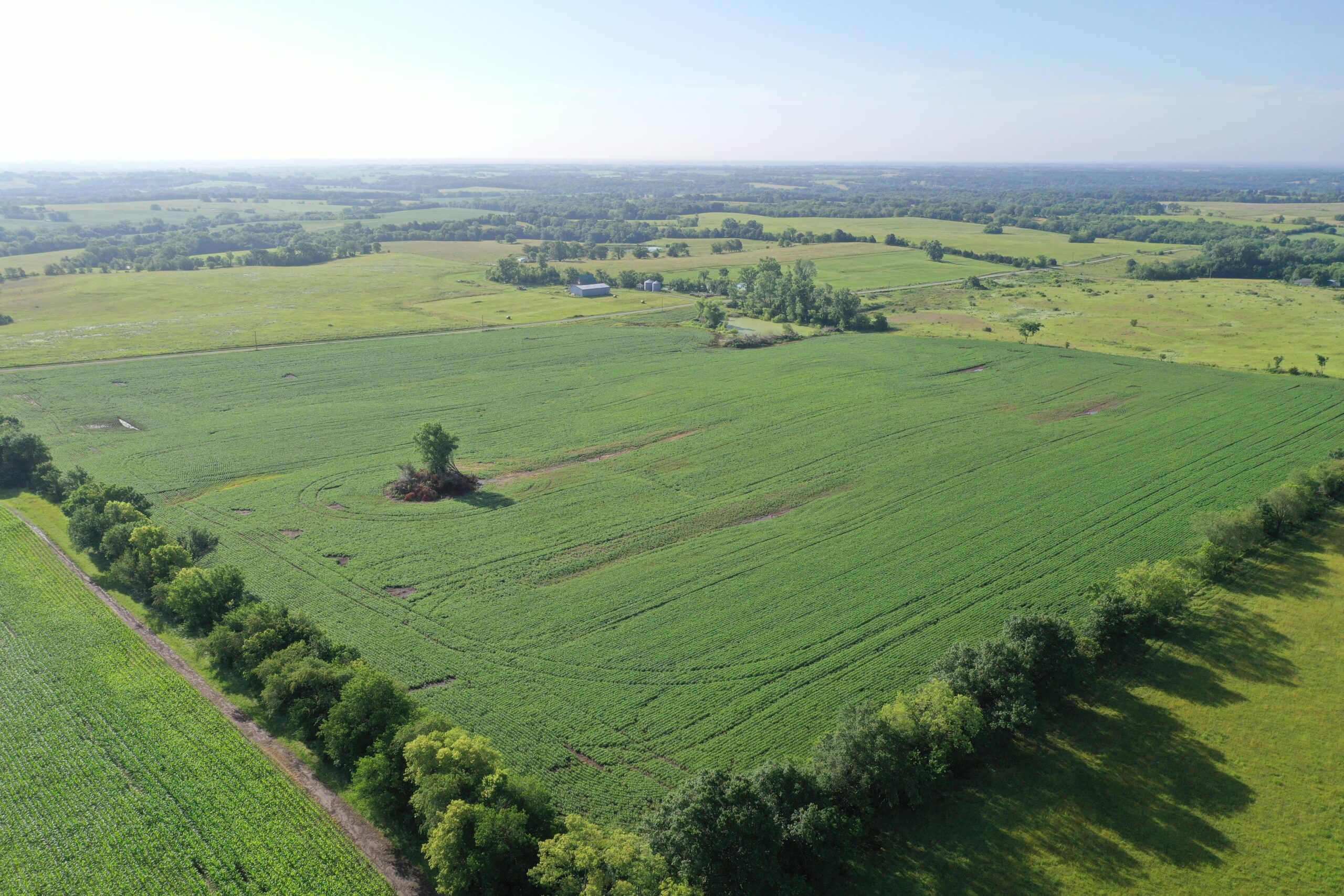 Top-Quality Harrison County Farm – 517 Acres m/l