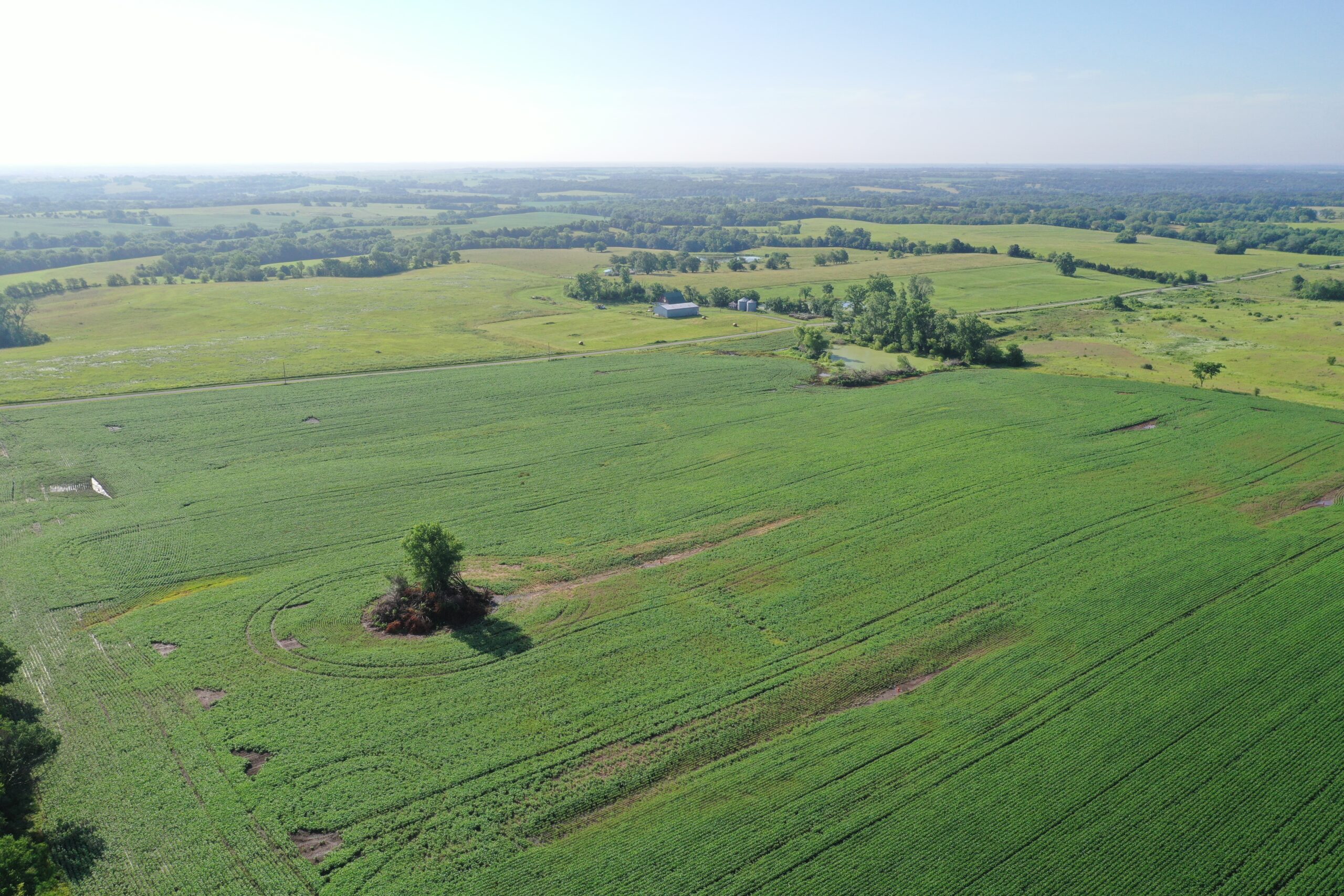 Top-Quality Harrison County Farm – 517 Acres m/l