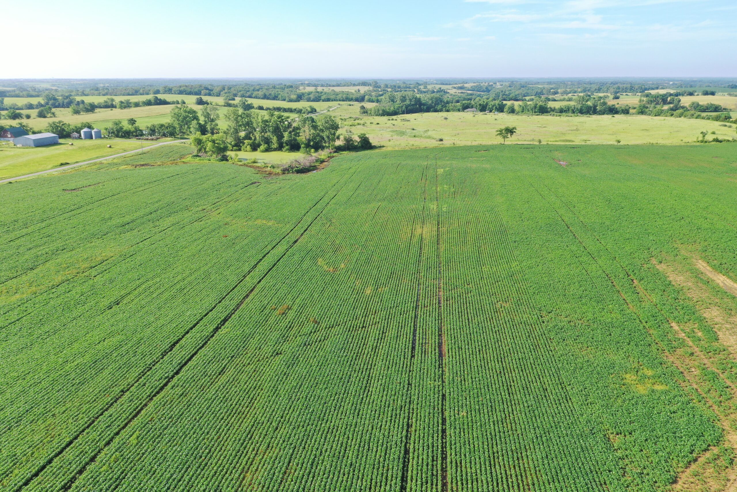 Top-Quality Harrison County Farm – 517 Acres m/l