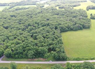 60 Acres m/l | Prime Hunting Farm with Income & Build Site
