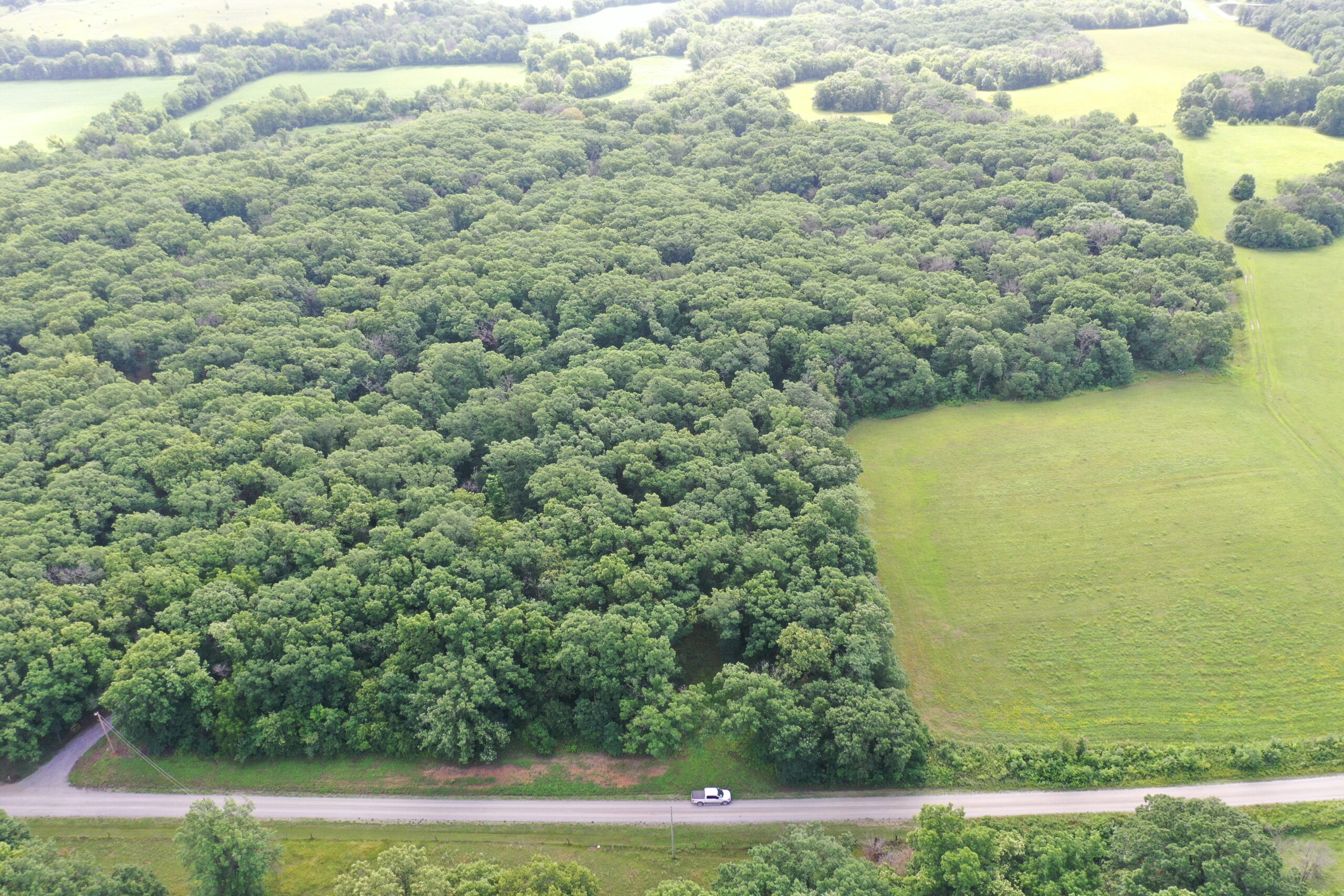 60 Acres m/l | Prime Hunting Farm with Income & Build Site