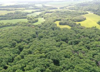 60 Acres m/l | Prime Hunting Farm with Income & Build Site