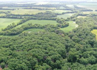 60 Acres m/l | Prime Hunting Farm with Income & Build Site