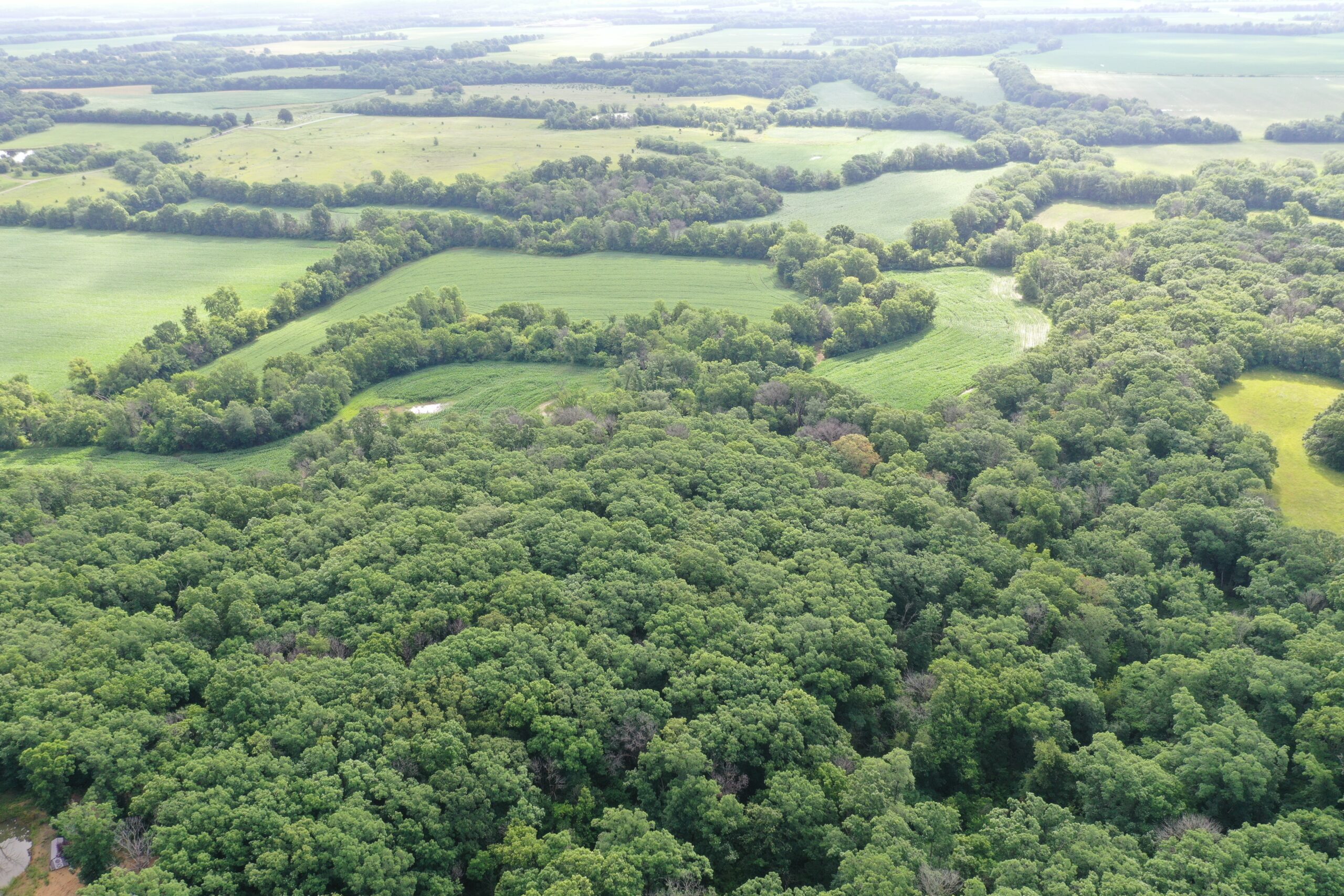60 Acres m/l | Prime Hunting Farm with Income & Build Site