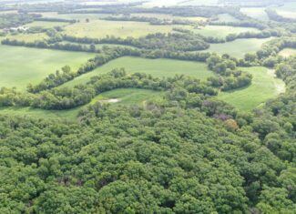 60 Acres m/l | Prime Hunting Farm with Income & Build Site