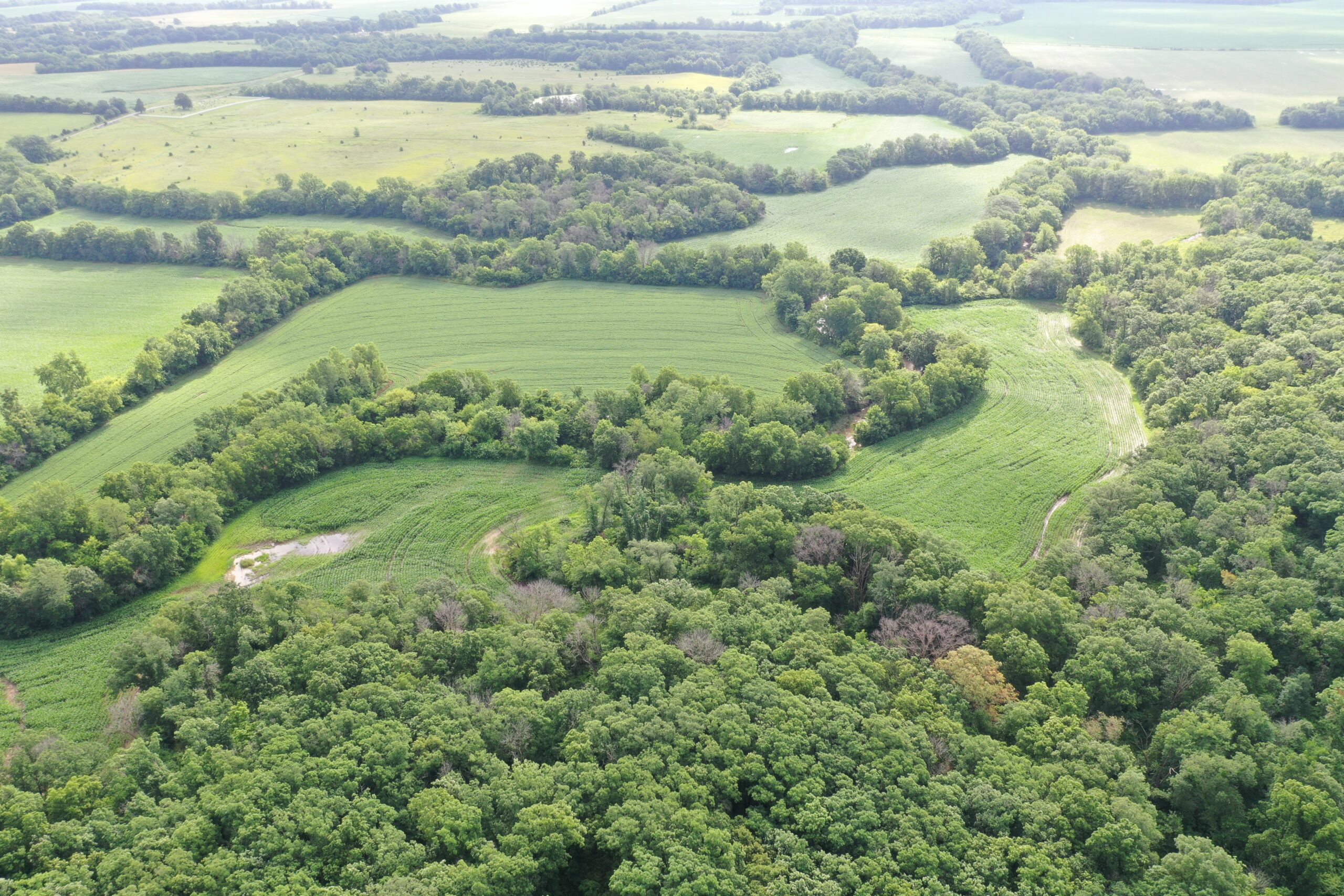60 Acres m/l | Prime Hunting Farm with Income & Build Site