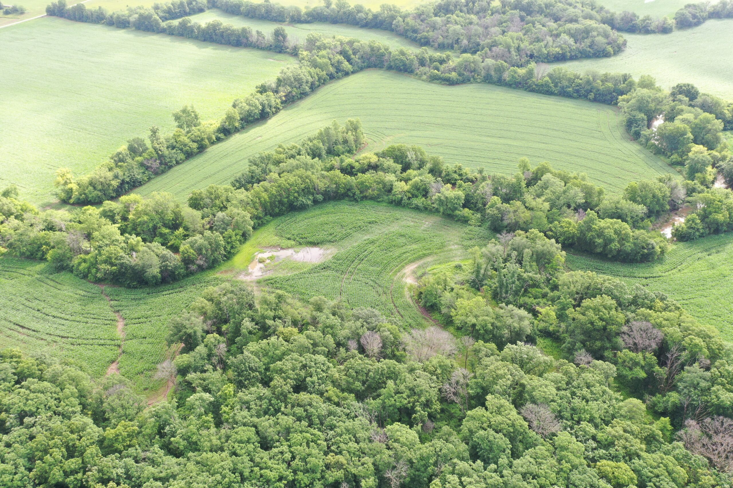 60 Acres m/l | Prime Hunting Farm with Income & Build Site