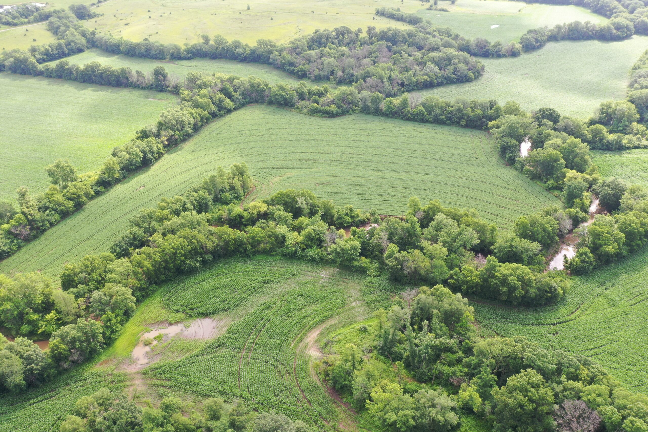 60 Acres m/l | Prime Hunting Farm with Income & Build Site