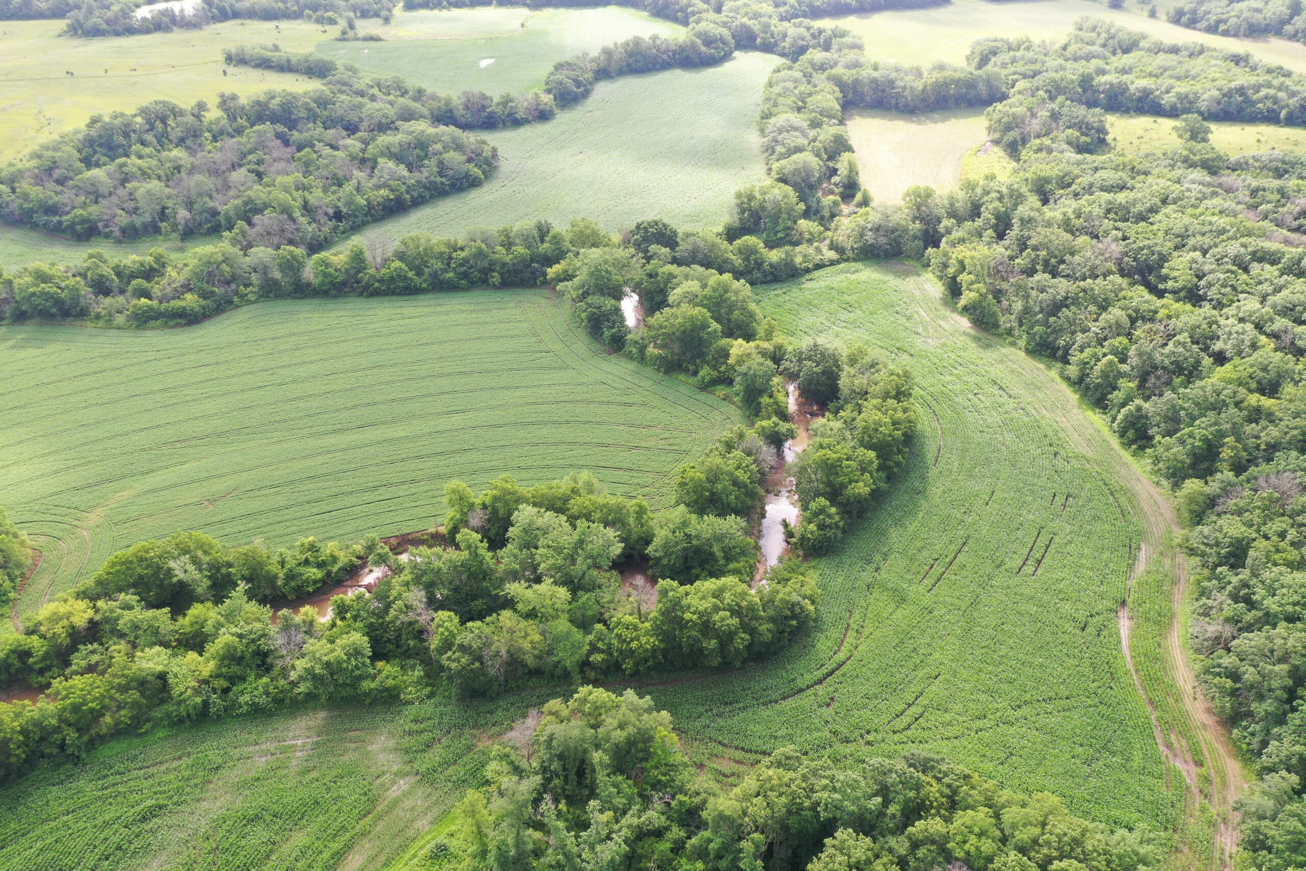 60 Acres m/l | Prime Hunting Farm with Income & Build Site