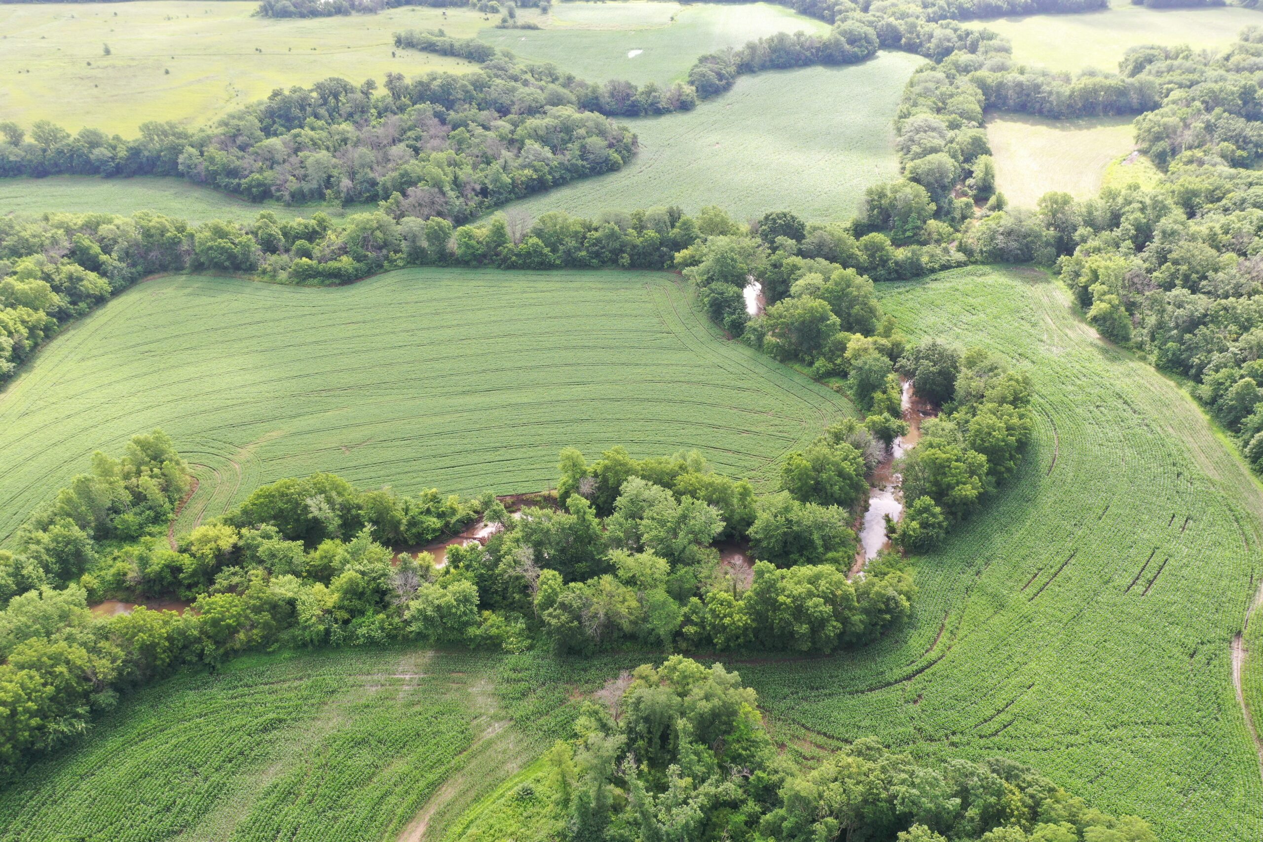 60 Acres m/l | Prime Hunting Farm with Income & Build Site