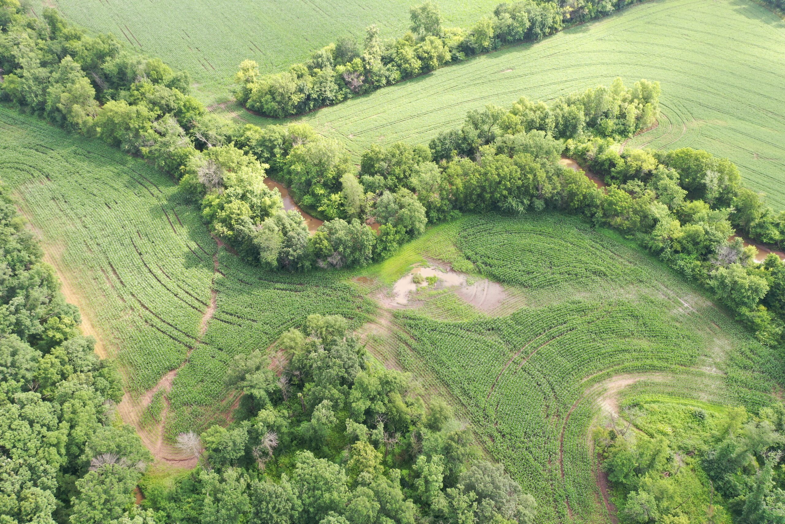 60 Acres m/l | Prime Hunting Farm with Income & Build Site
