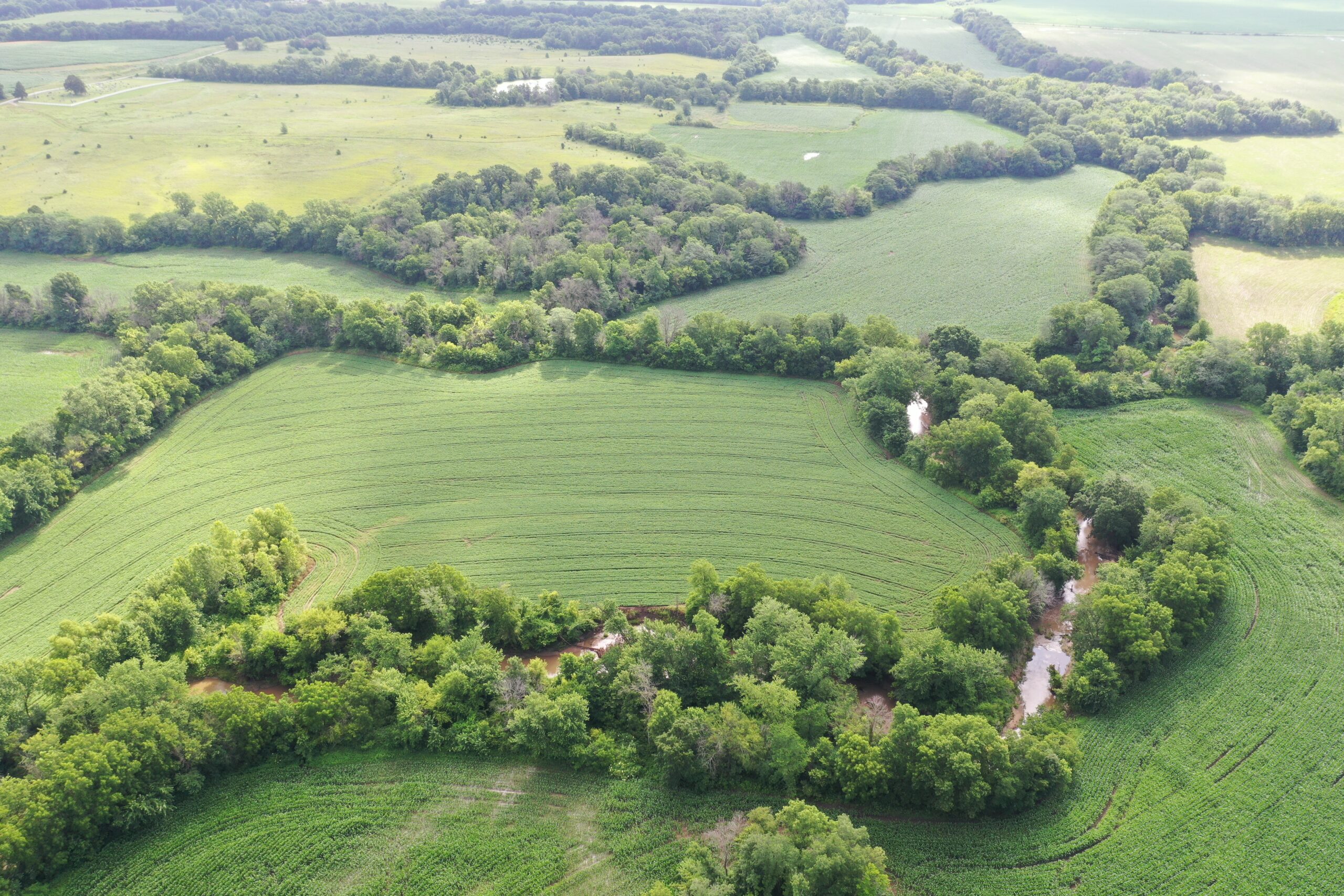 60 Acres m/l | Prime Hunting Farm with Income & Build Site