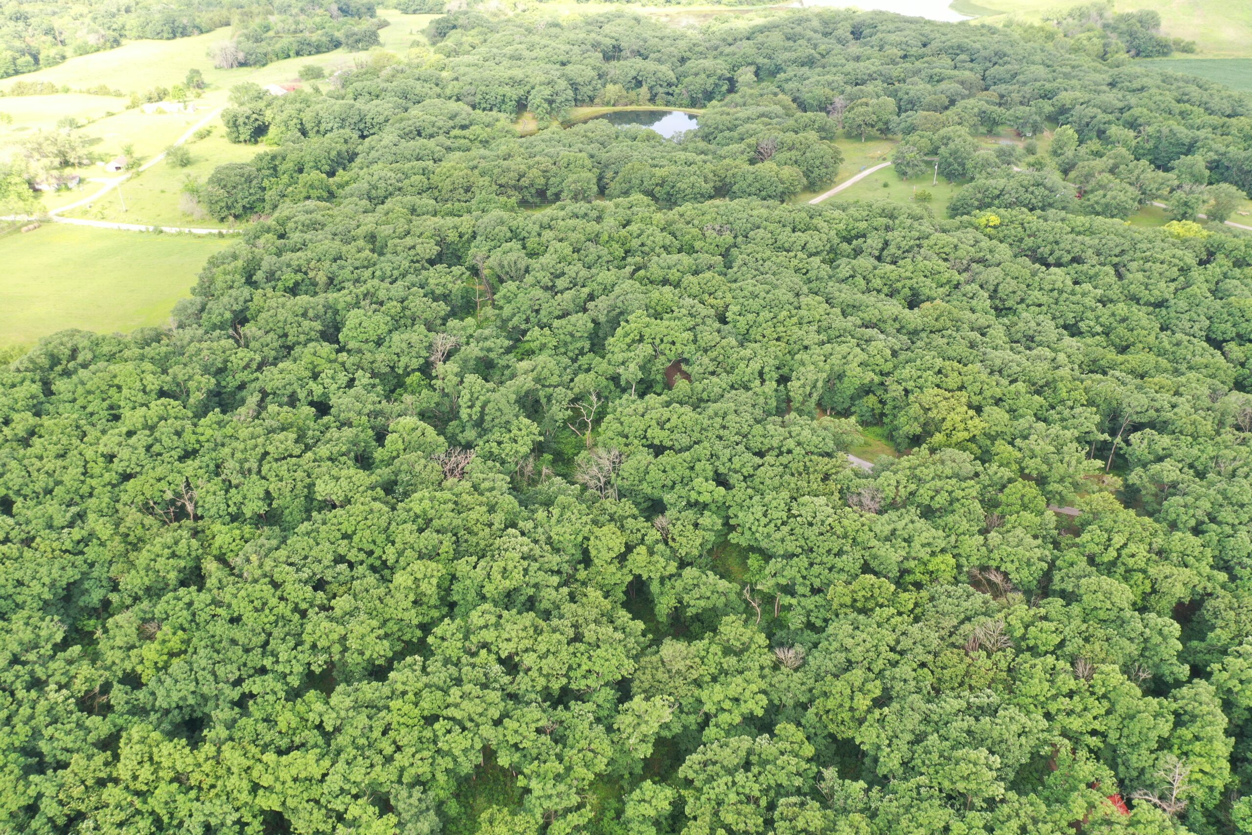 60 Acres m/l | Prime Hunting Farm with Income & Build Site