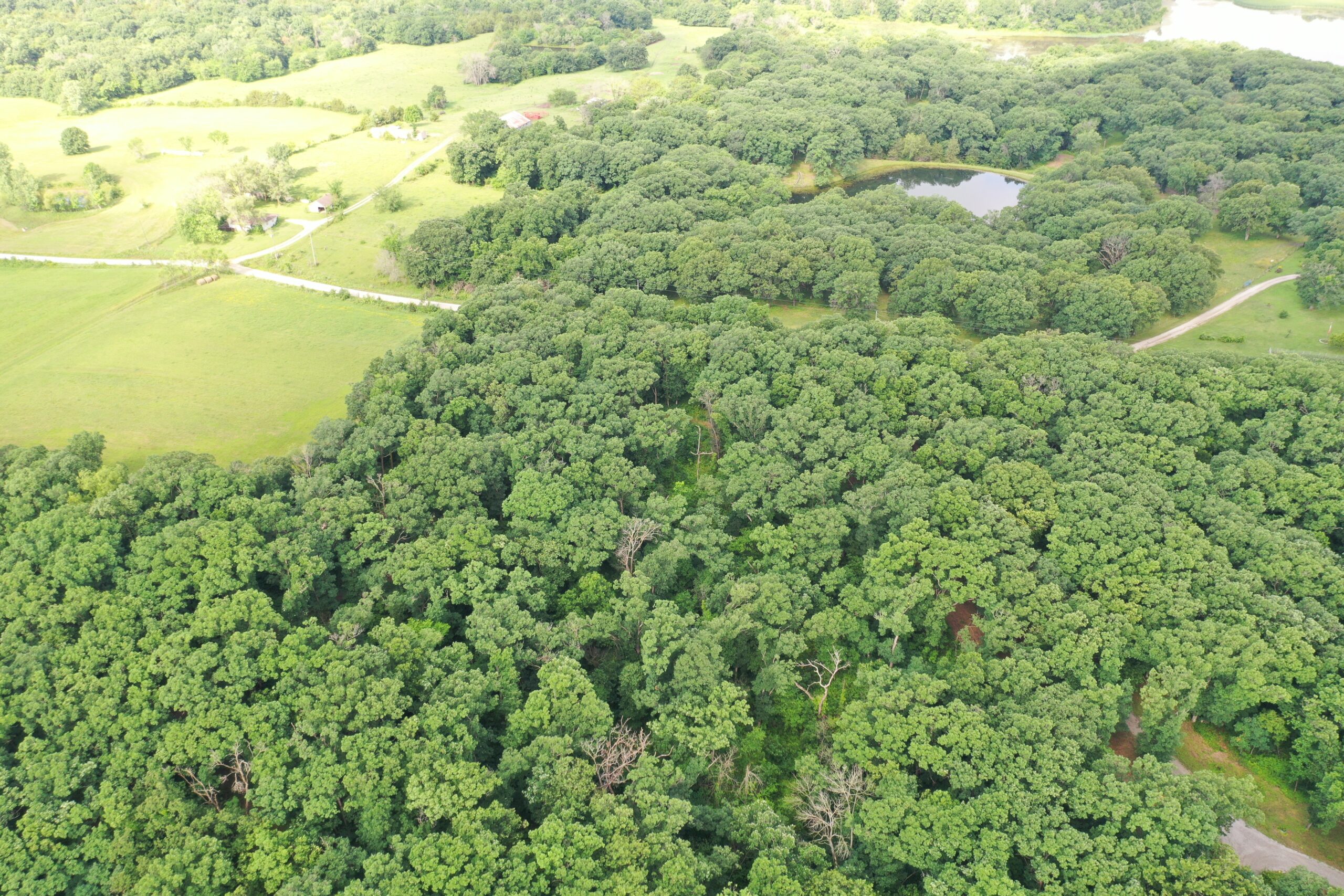 60 Acres m/l | Prime Hunting Farm with Income & Build Site